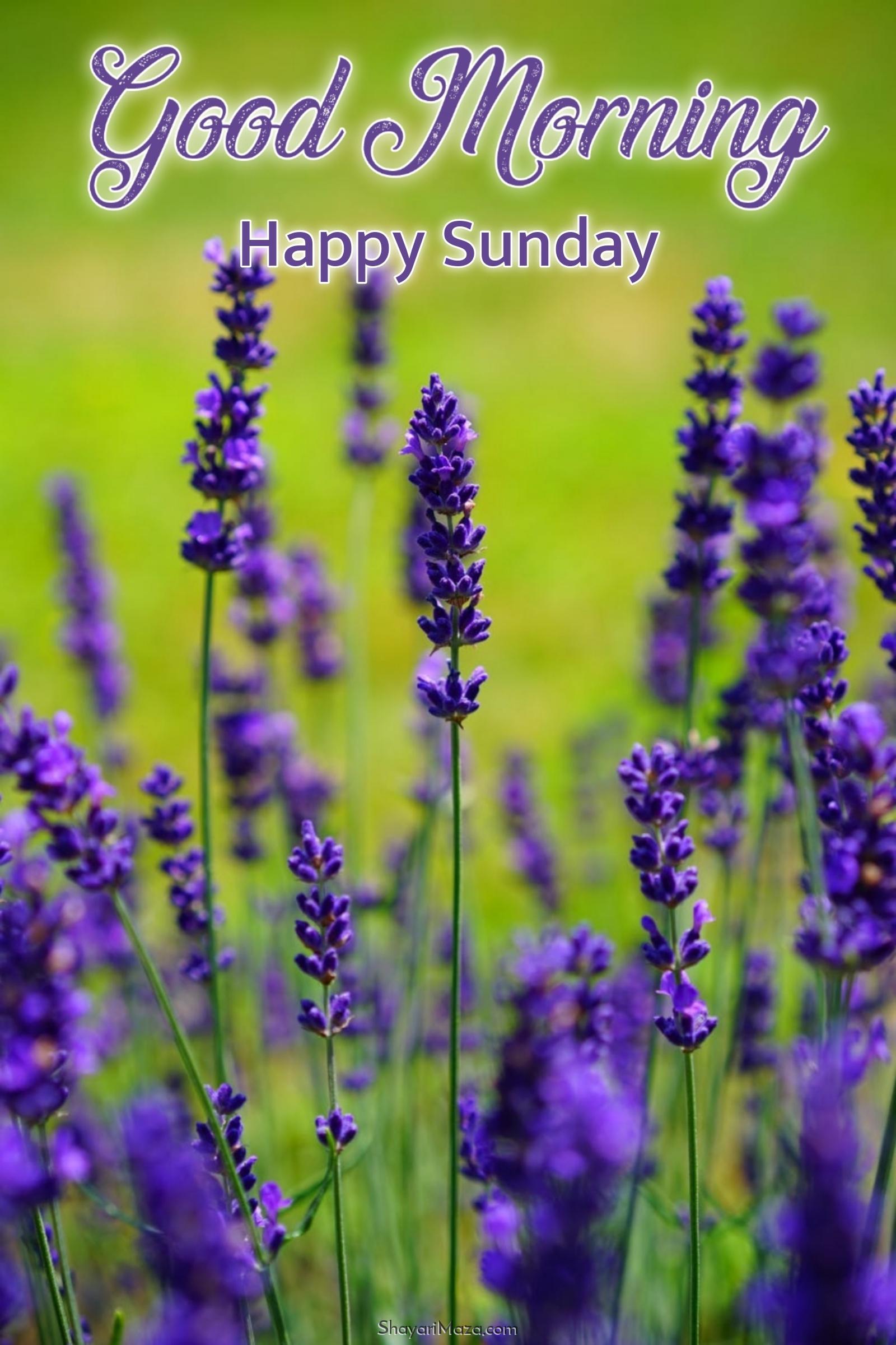 Sunday Greetings Images