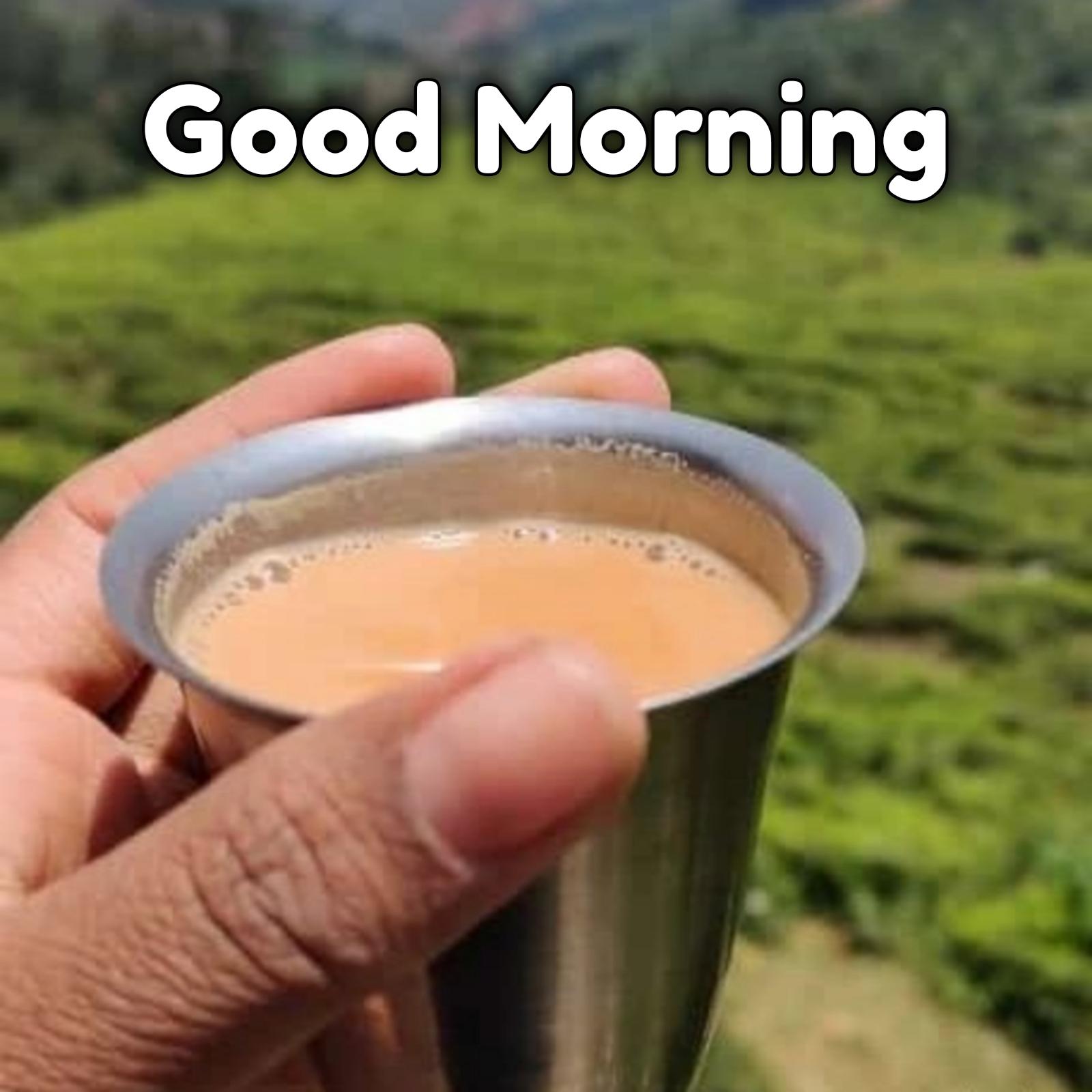Good Morning Tea Photo
