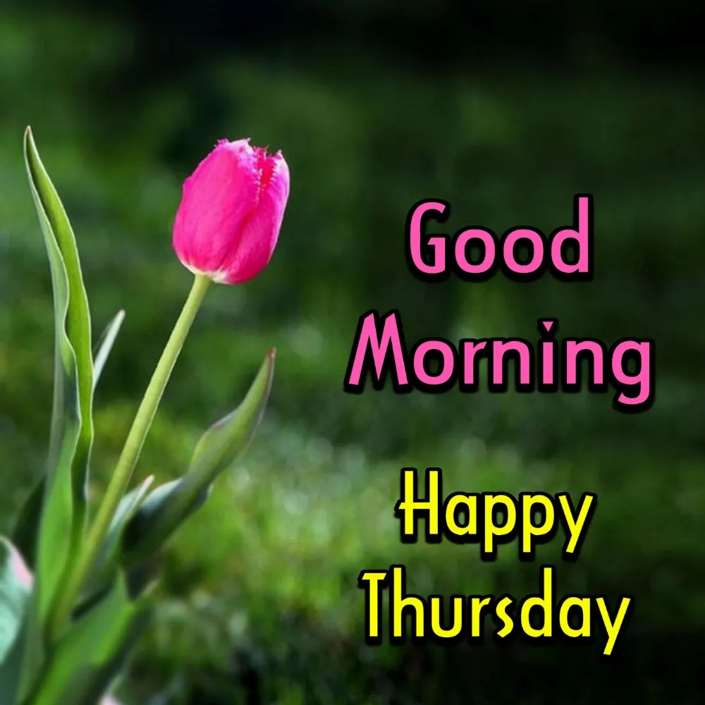 Good Morning Images Thursday Special