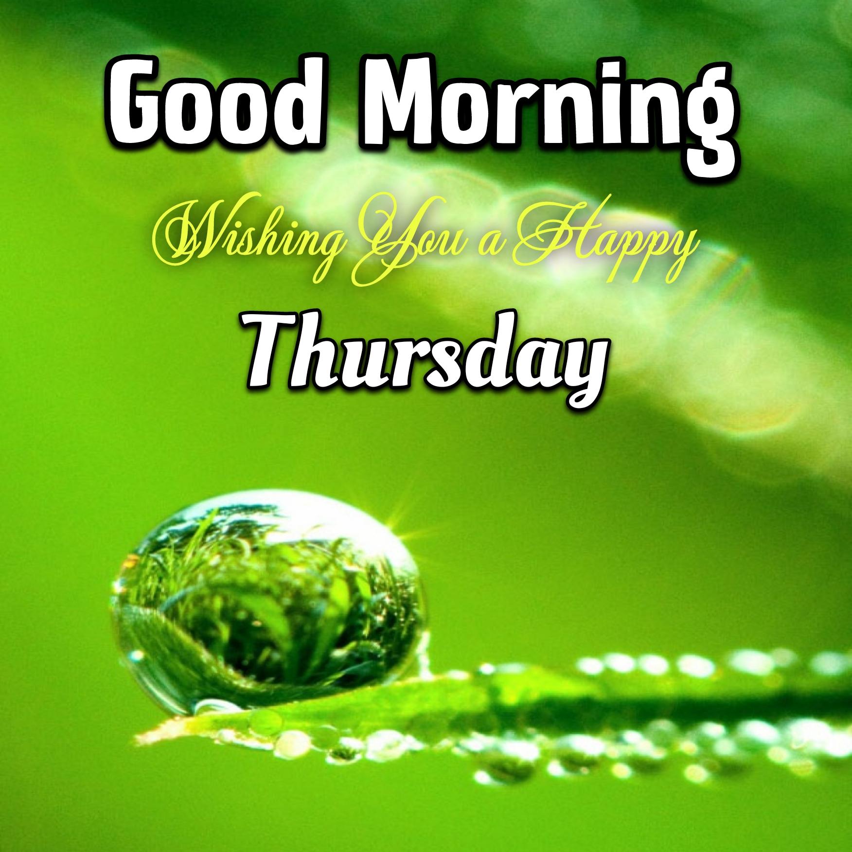 Good Morning Wishing You A Happy Thursday Images