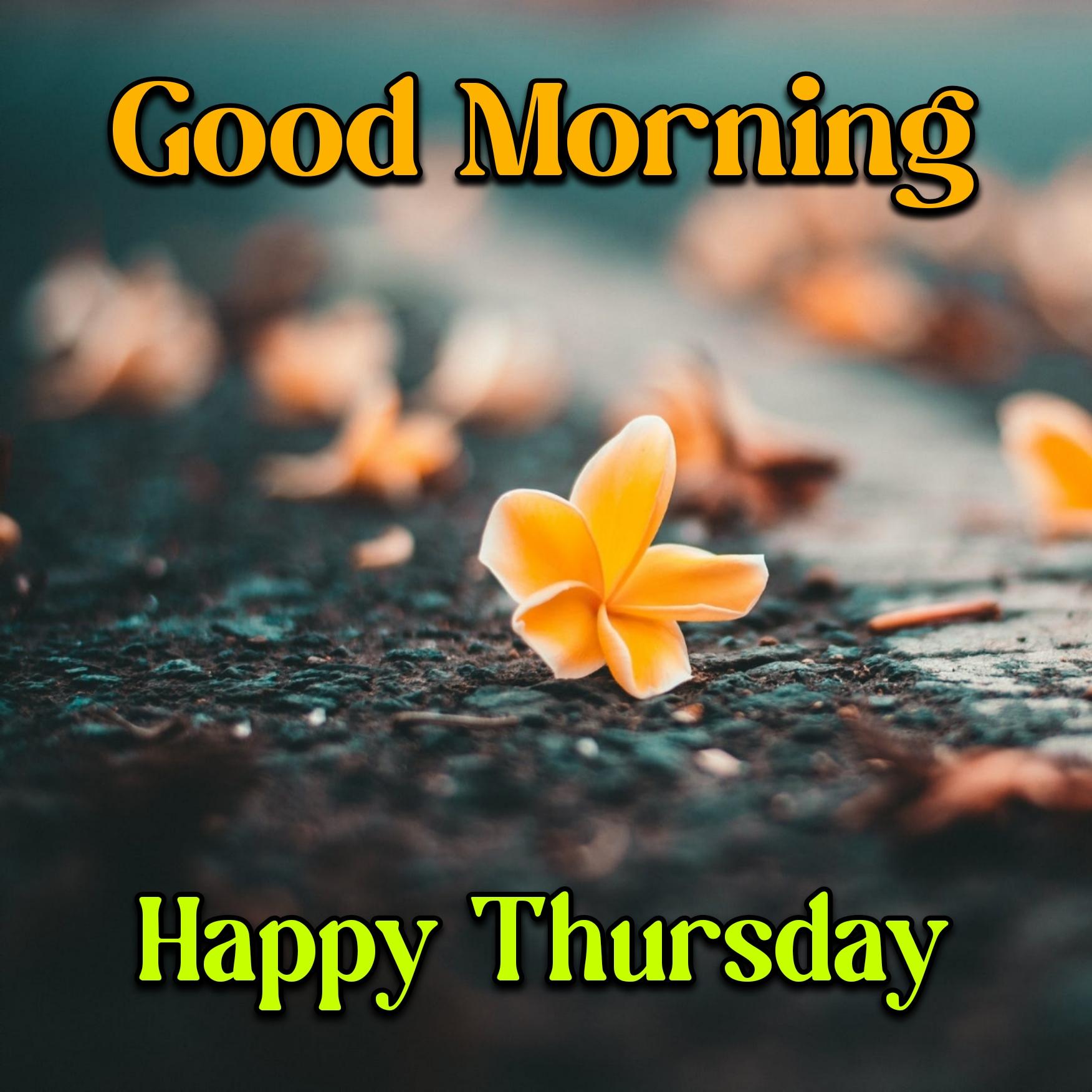 New Good Morning Happy Thursday Images 2022 HD Download