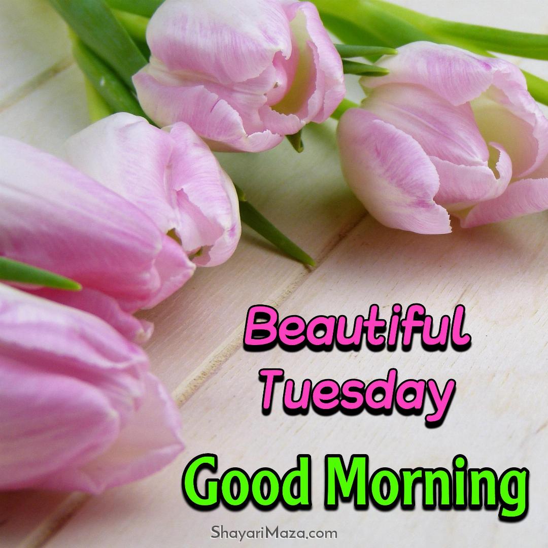 Beautiful Tuesday Good Morning Images