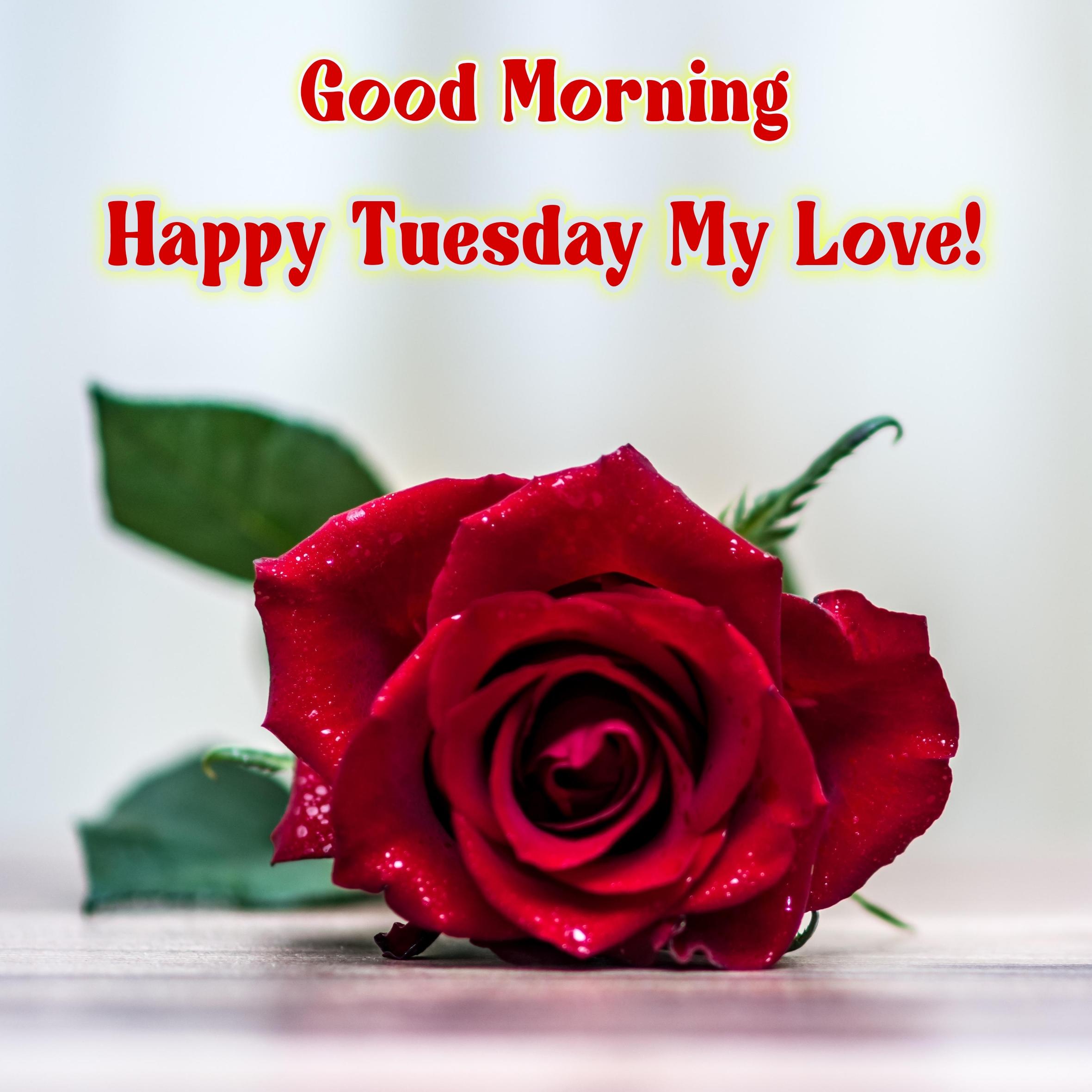 Good Morning Happy Tuesday My Love Images