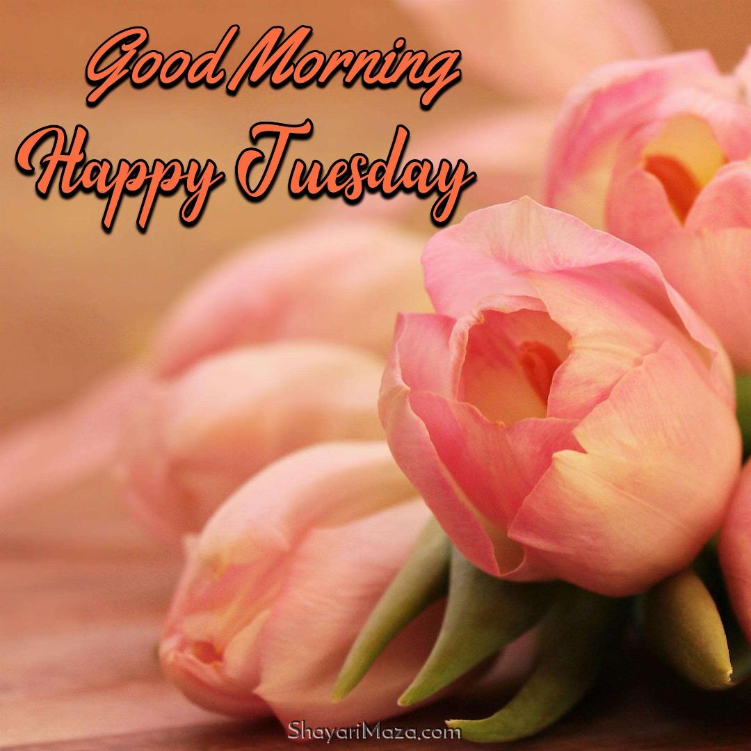 Good Morning Tuesday Images Hd