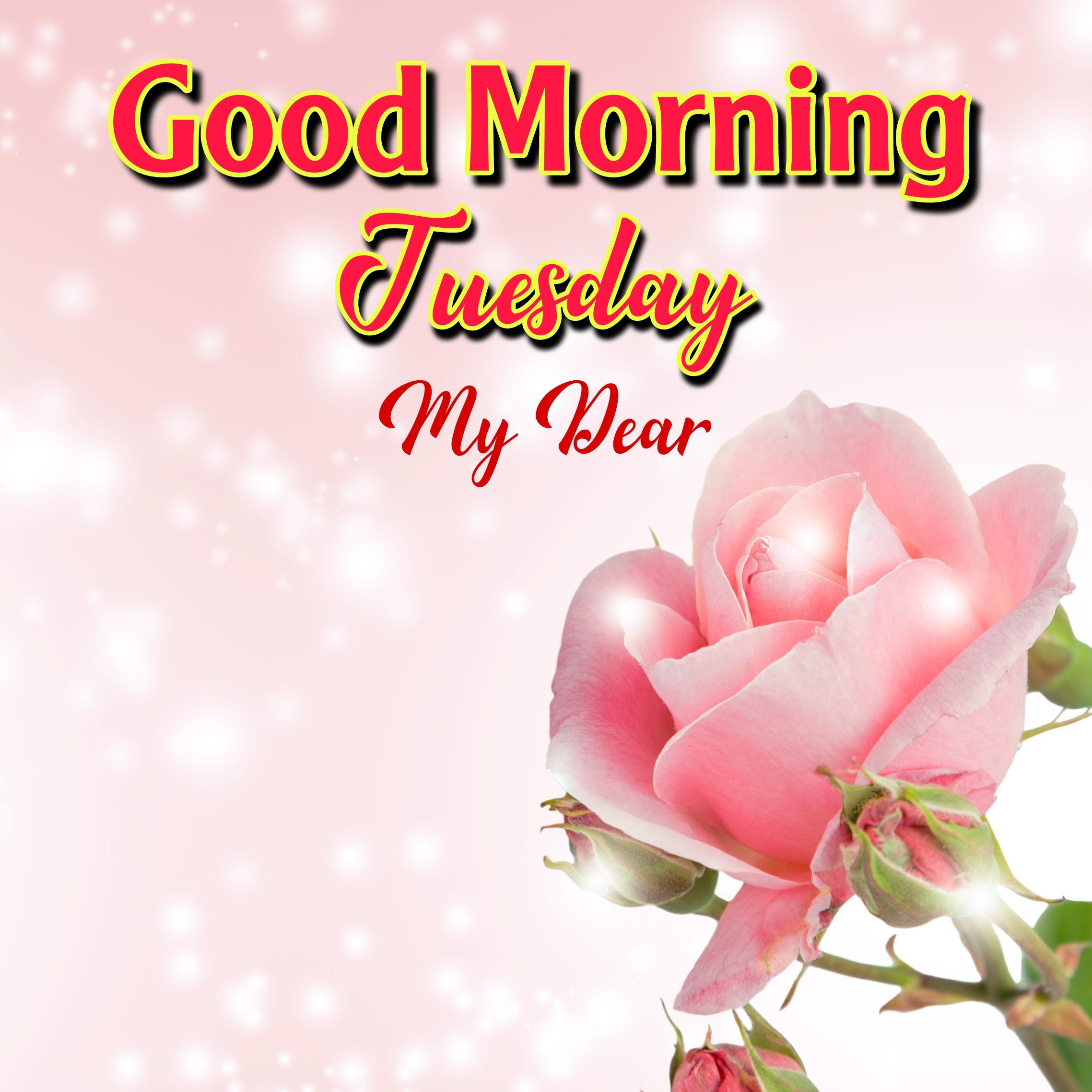 Good Morning Tuesday My dear Images