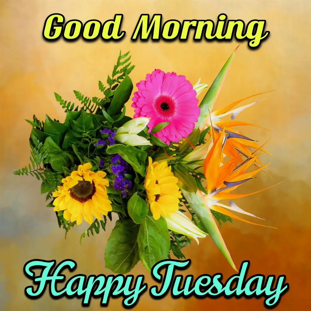 New Good Morning Happy Tuesday Images 2022 HD Download