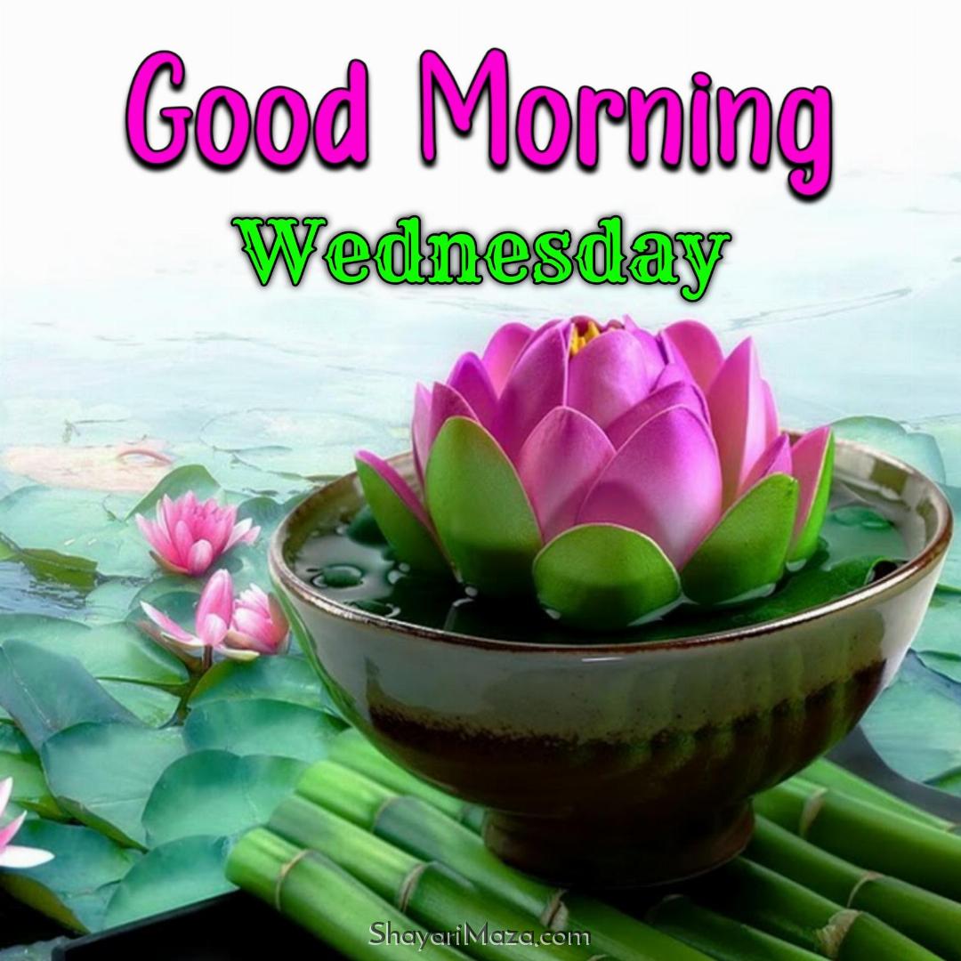 Good Morning Images Wednesday Special