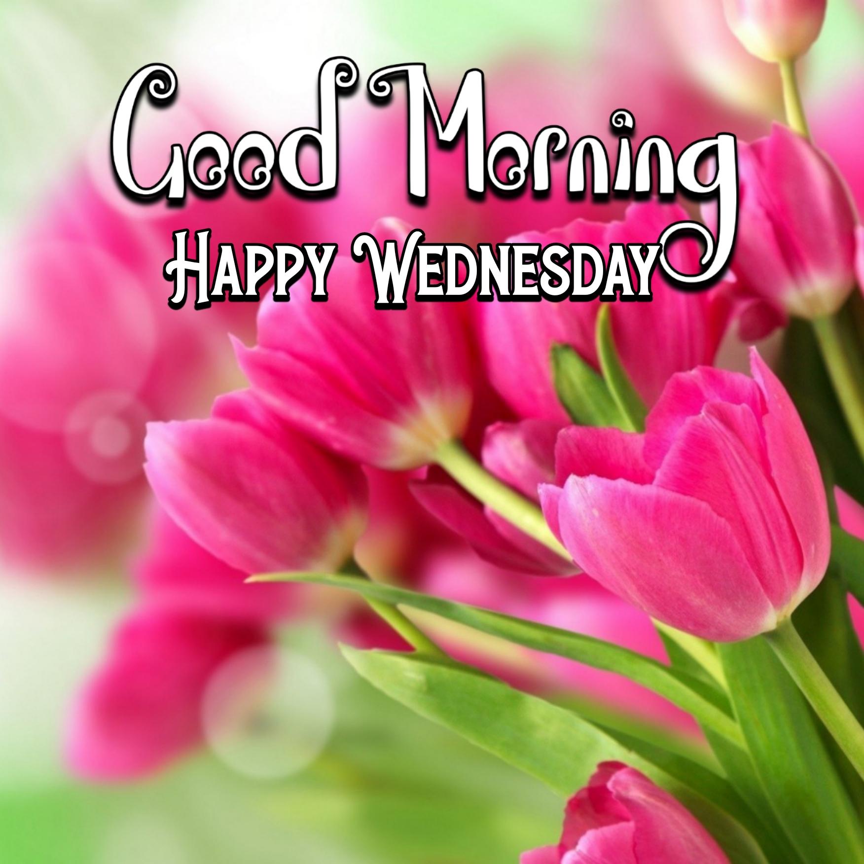 Good Morning Images Wednesday
