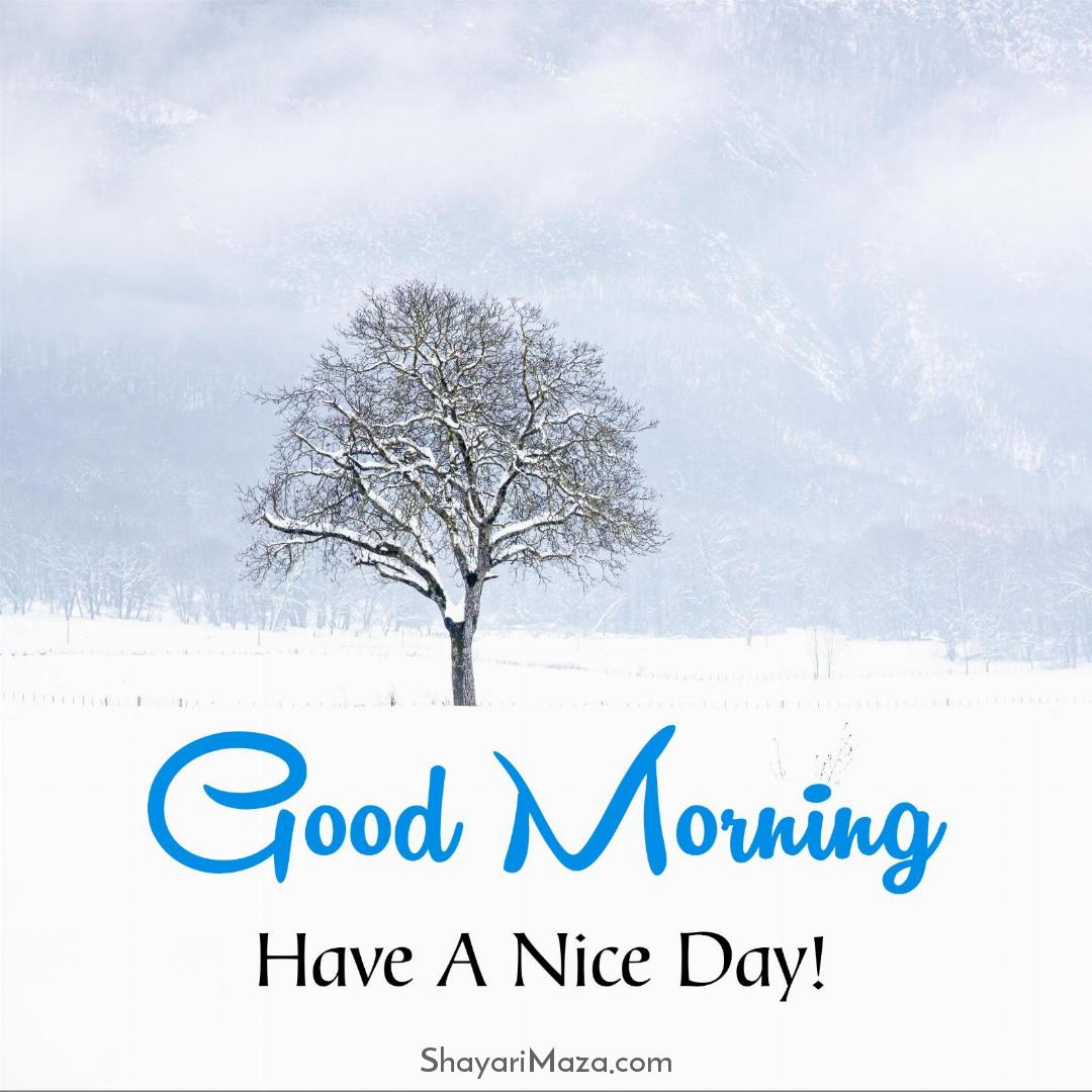 Good Morning Have A Nice Day Winter Images