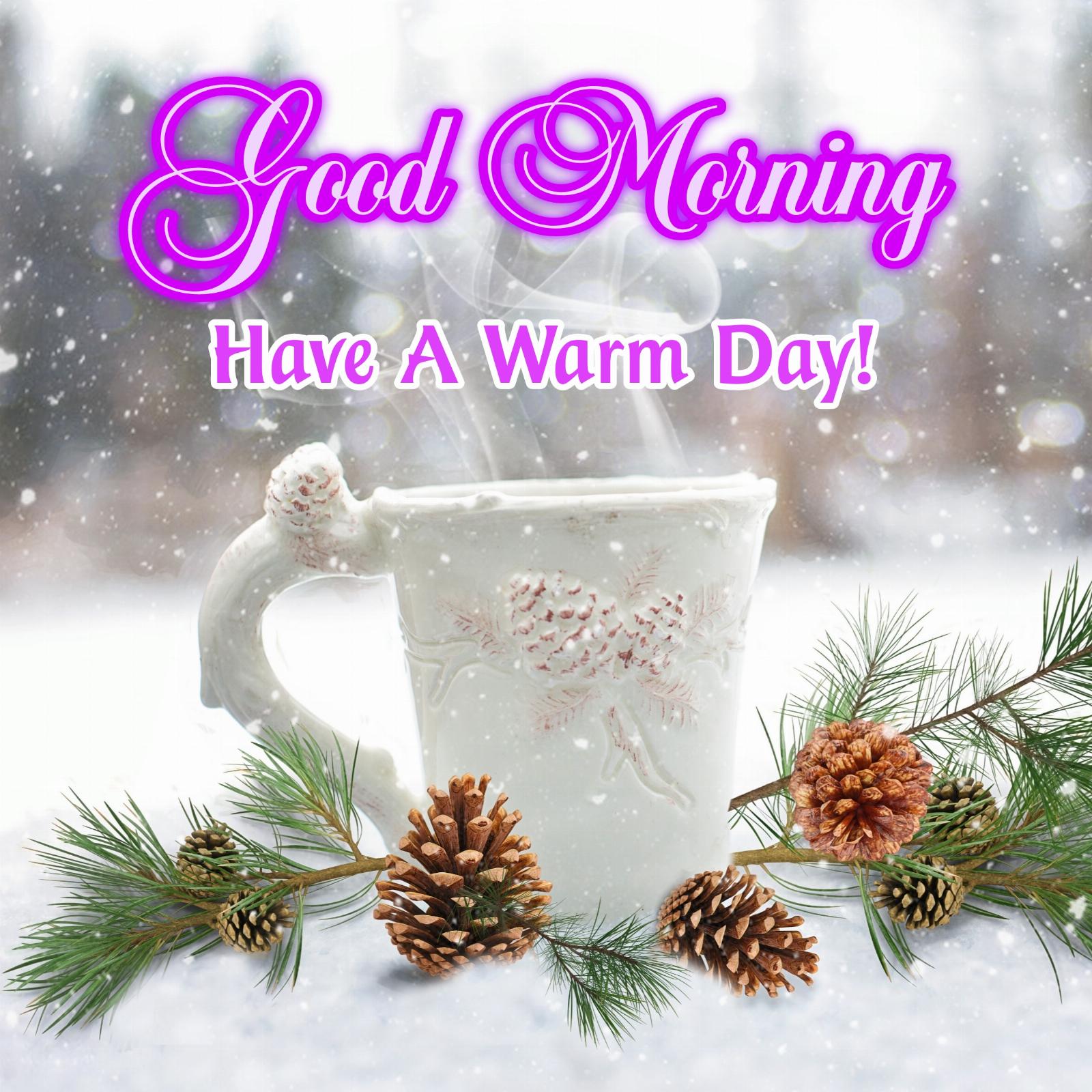 Good Morning Have a Warm Day Winter Images