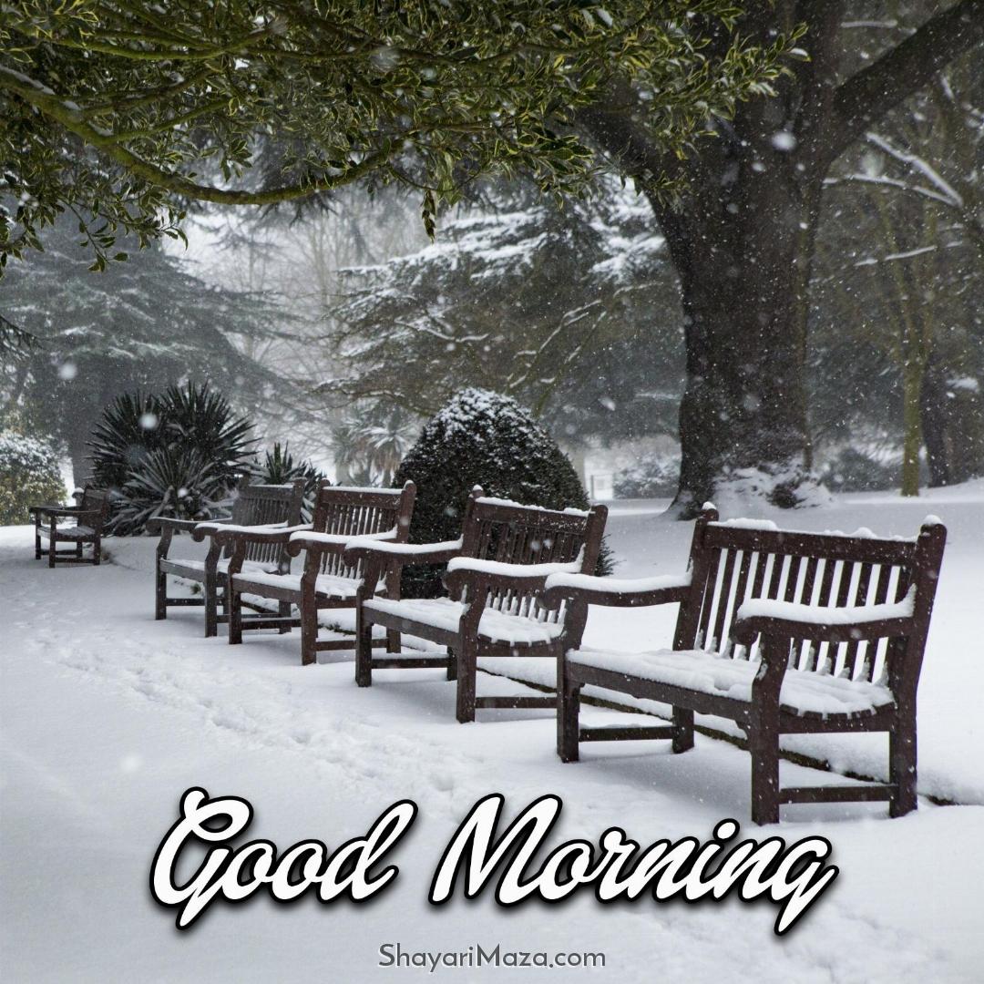 Good Morning Photos Winter