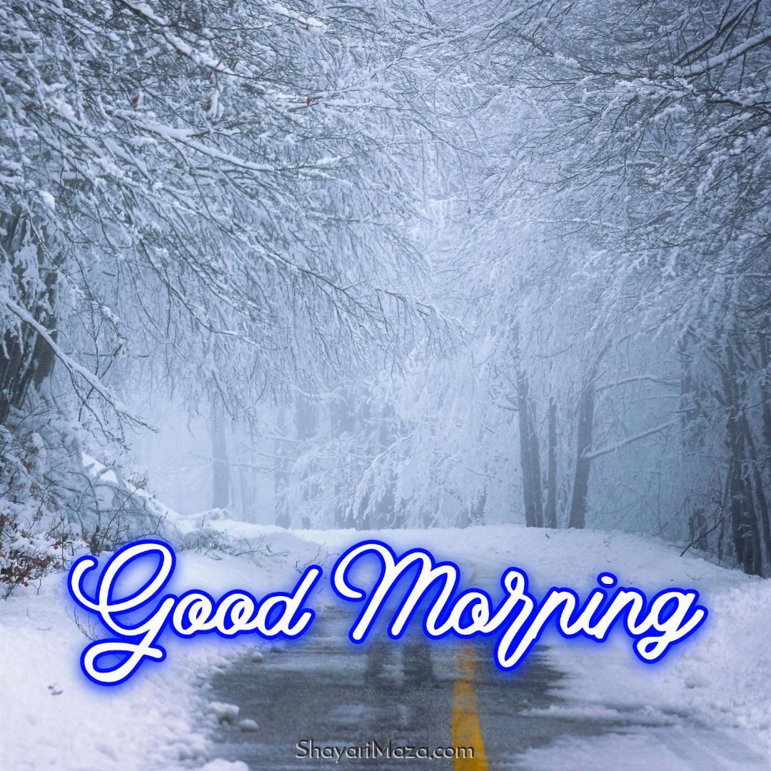 Good Morning Winter Pics