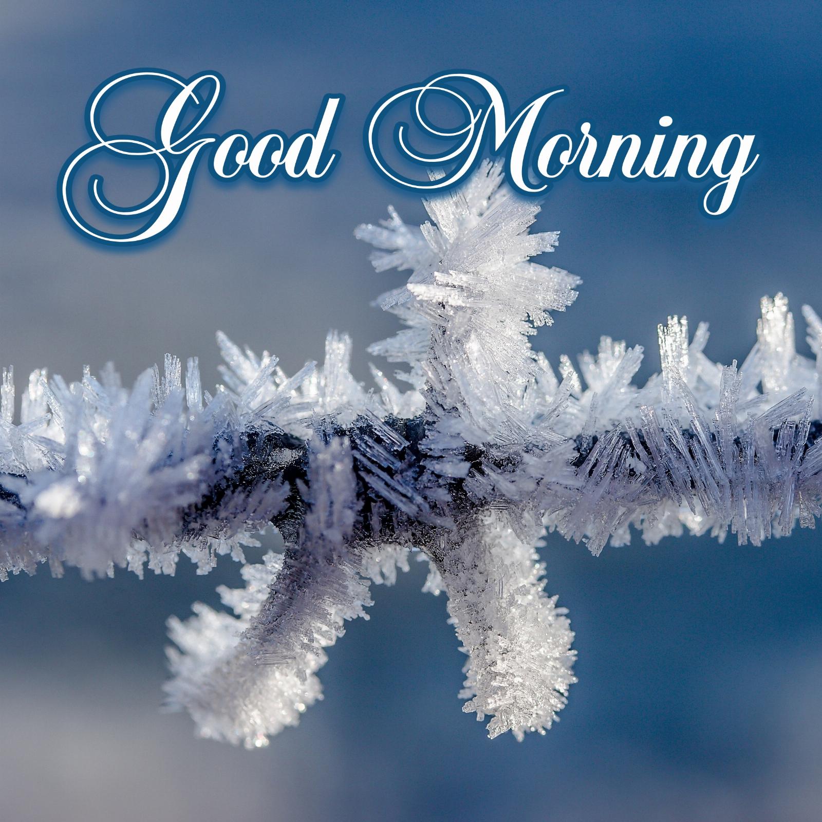 Good Morning Winter Pictures