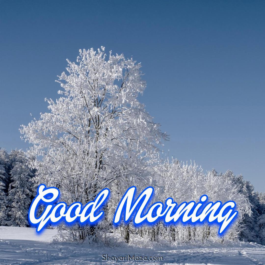 Winter Season Good Morning Images