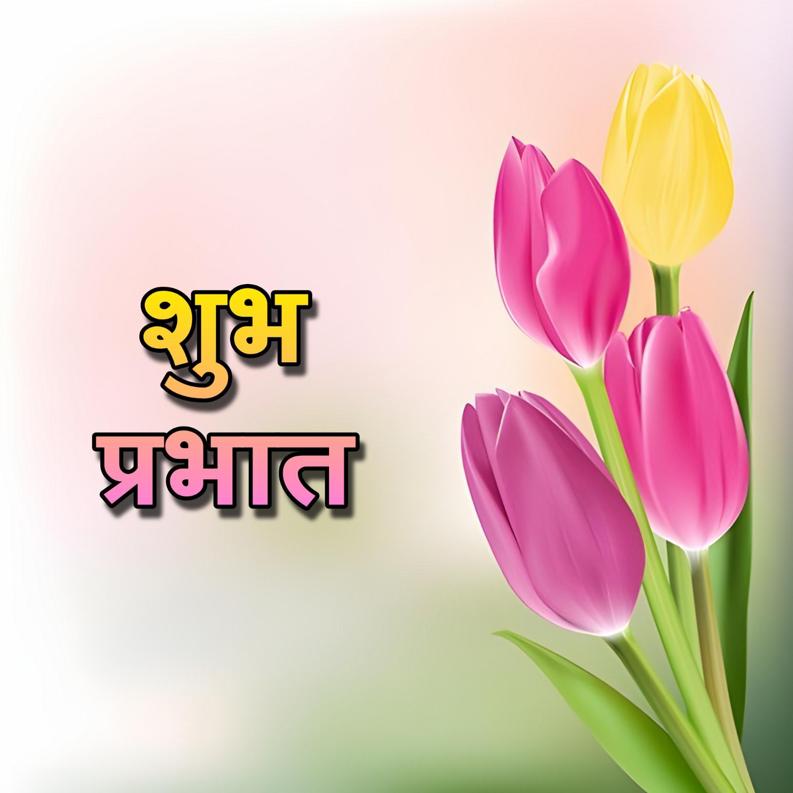 Shubh Prabhat Flower Dikhayen
