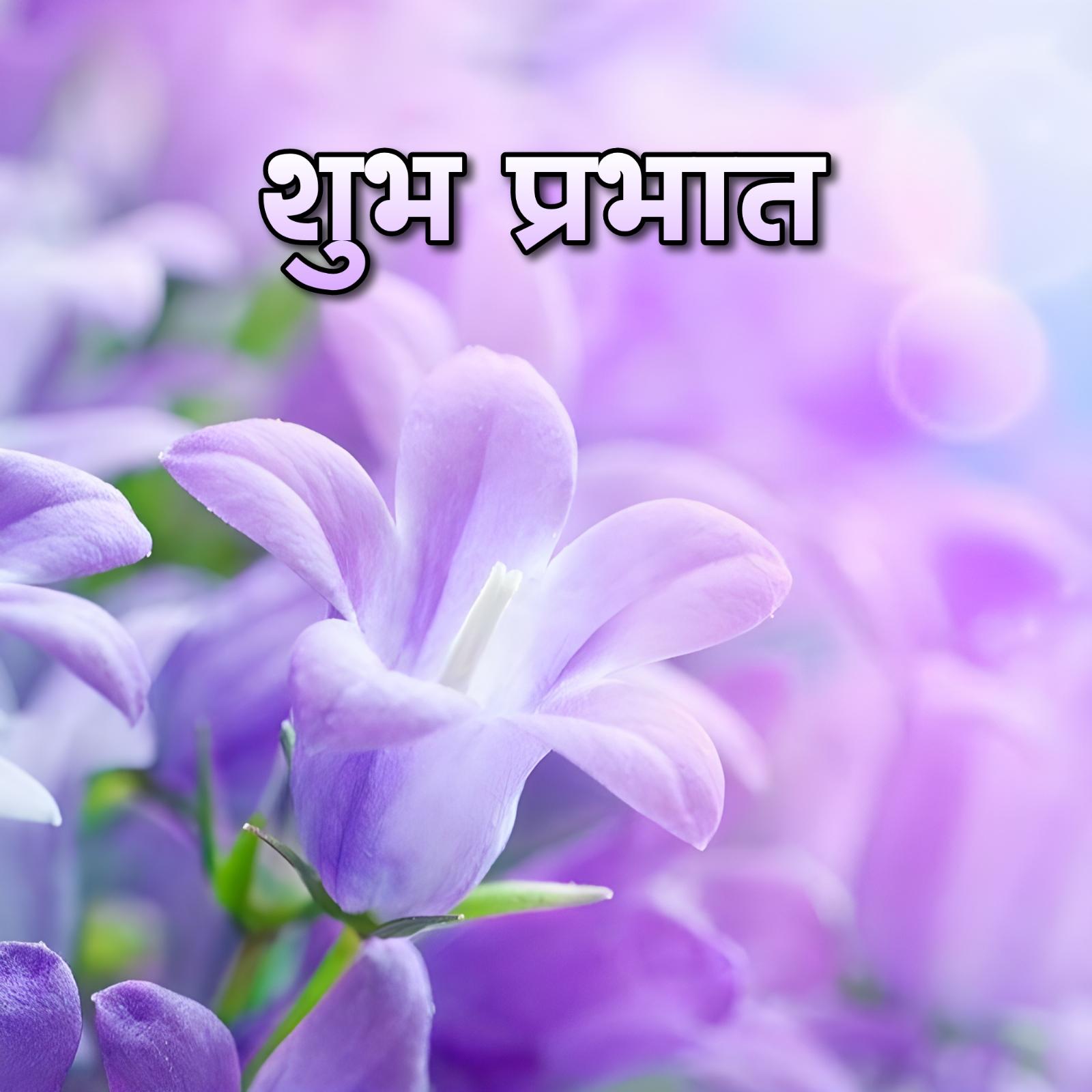 Shubh Prabhat Flower Hd Download