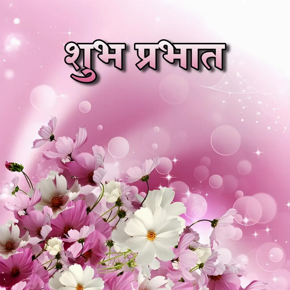 Shubh Prabhat Flower Hd