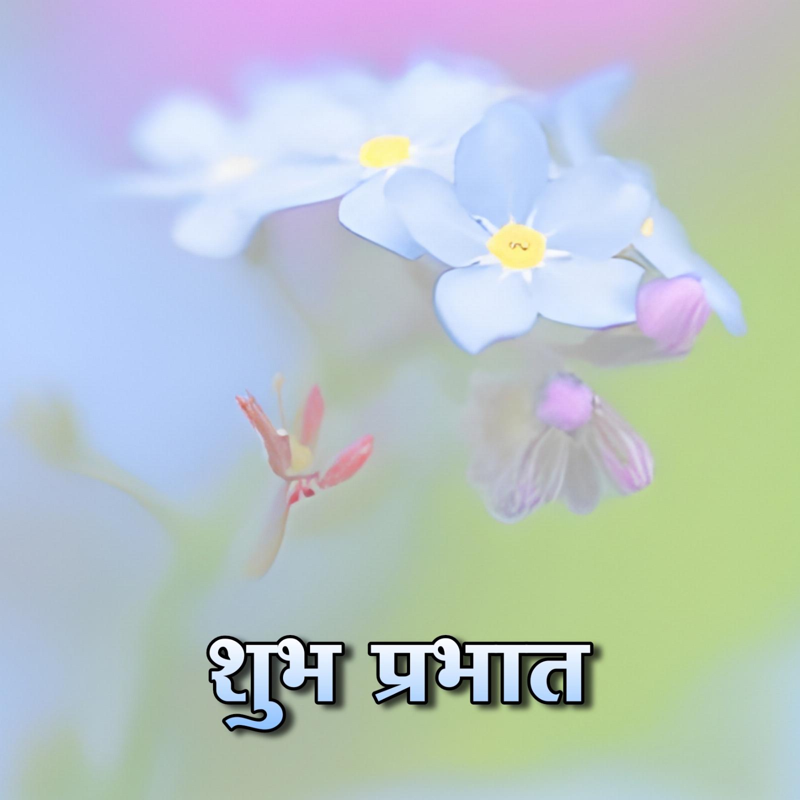 Shubh Prabhat Flower Images 2023
