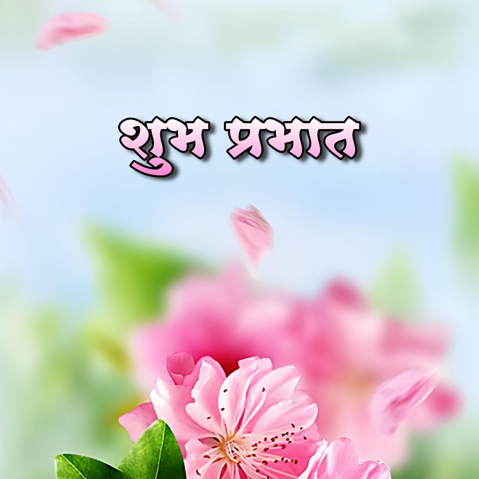 Shubh Prabhat Flower Images Hd