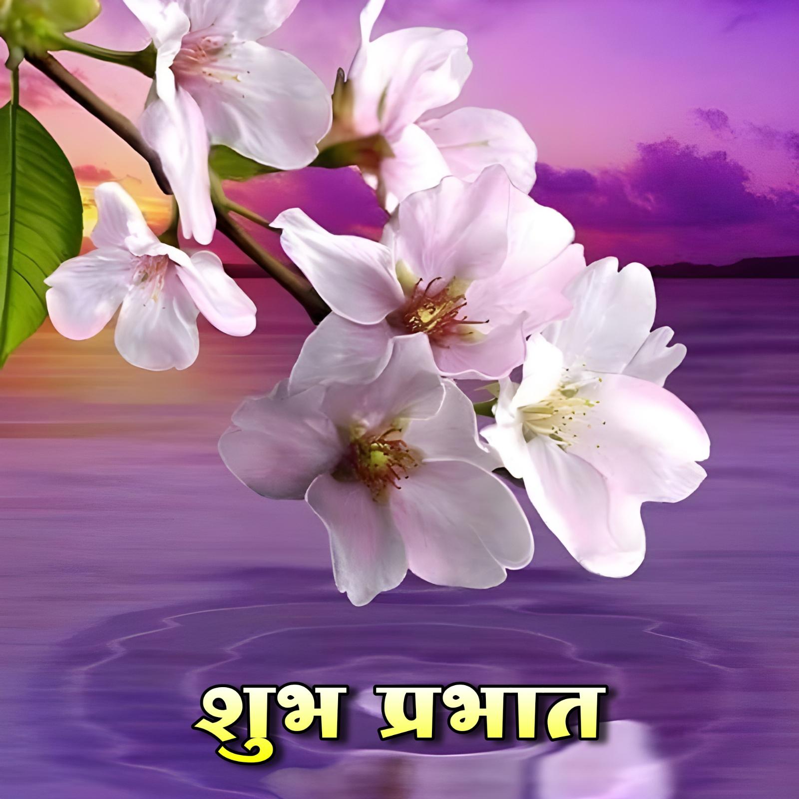 Shubh Prabhat Flower Images