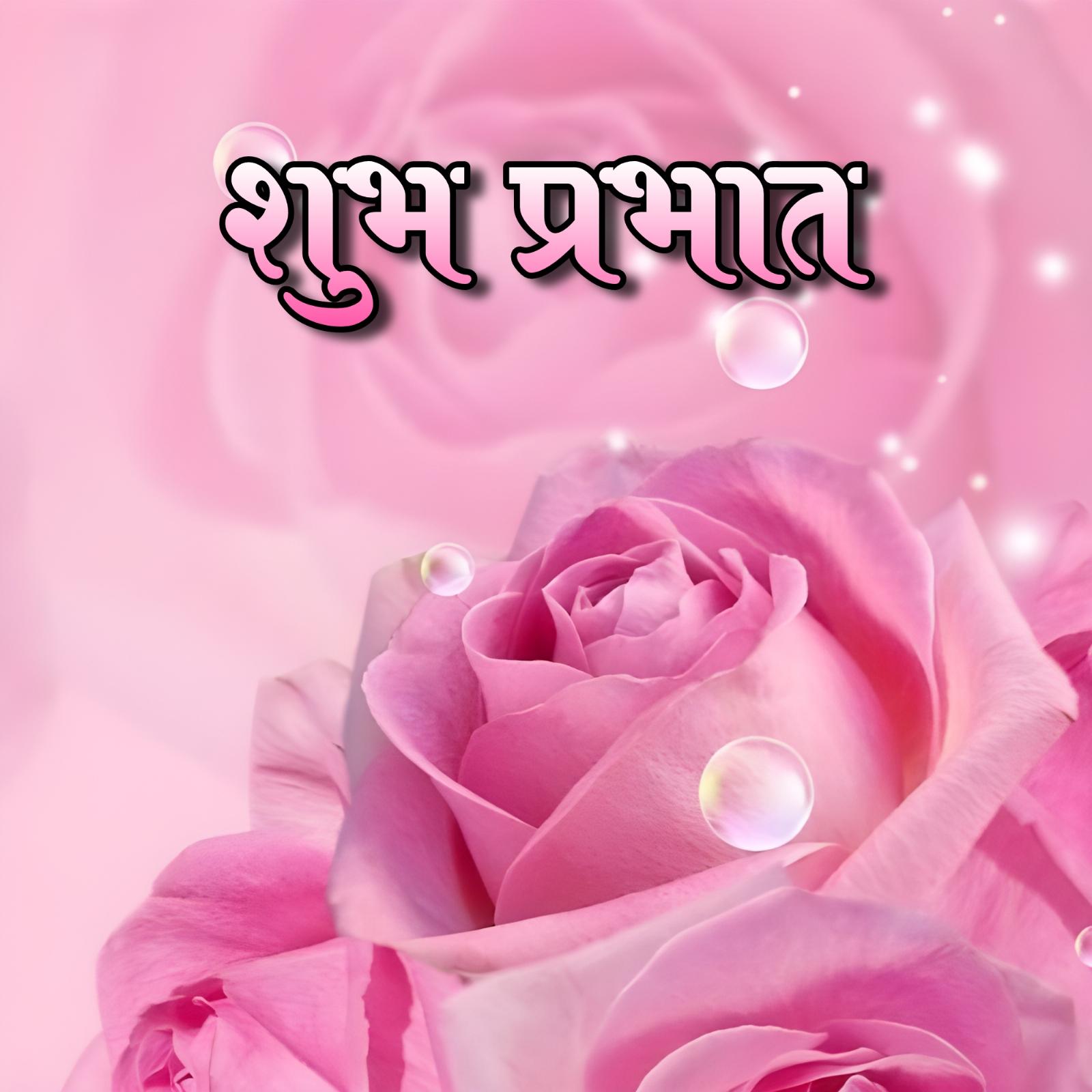 Shubh Prabhat Flower Ke Photo