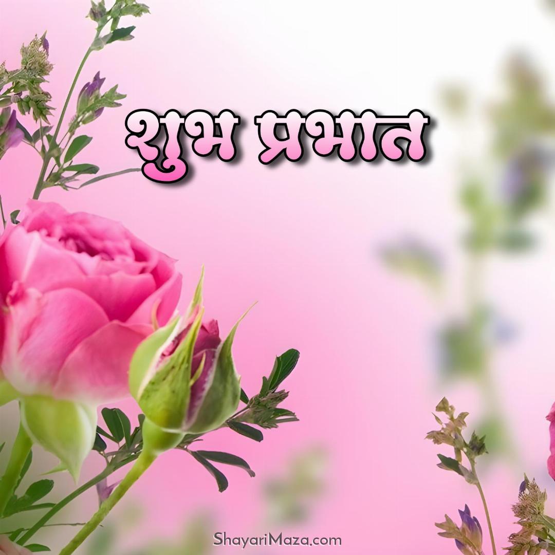 Shubh Prabhat Flowers Ki Pics