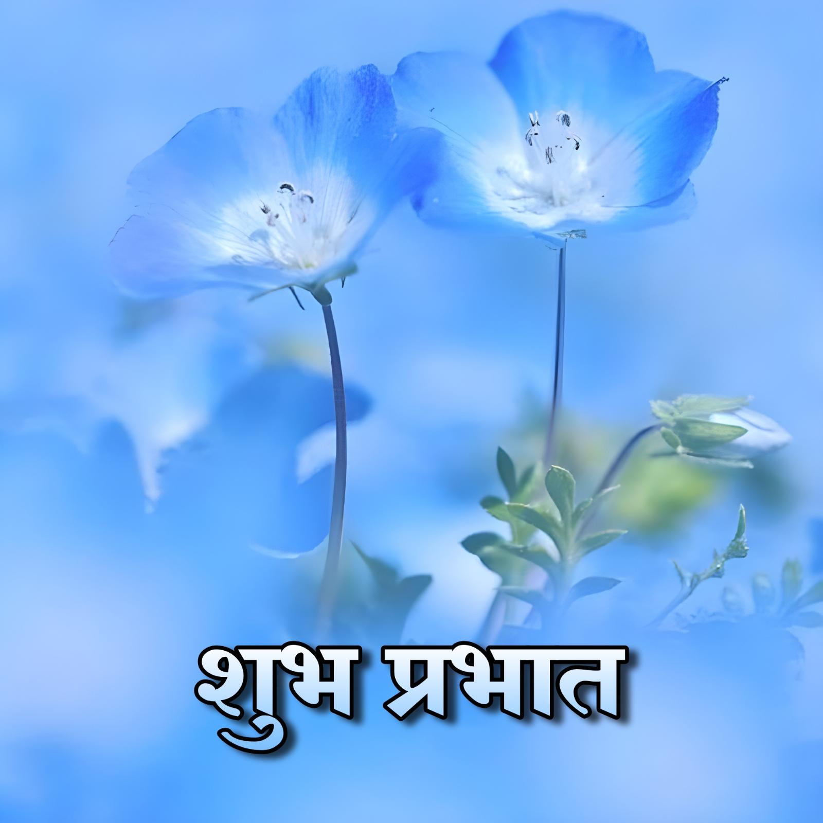 Shubh Prabhat Images With Blue Flowers