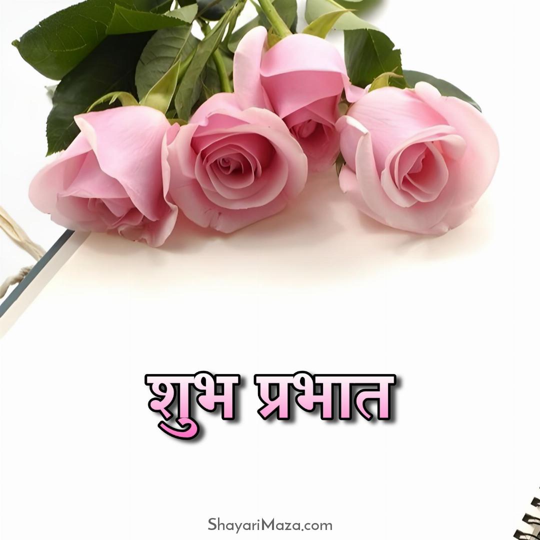 Shubh Prabhat Images With Pink Rose Flowers