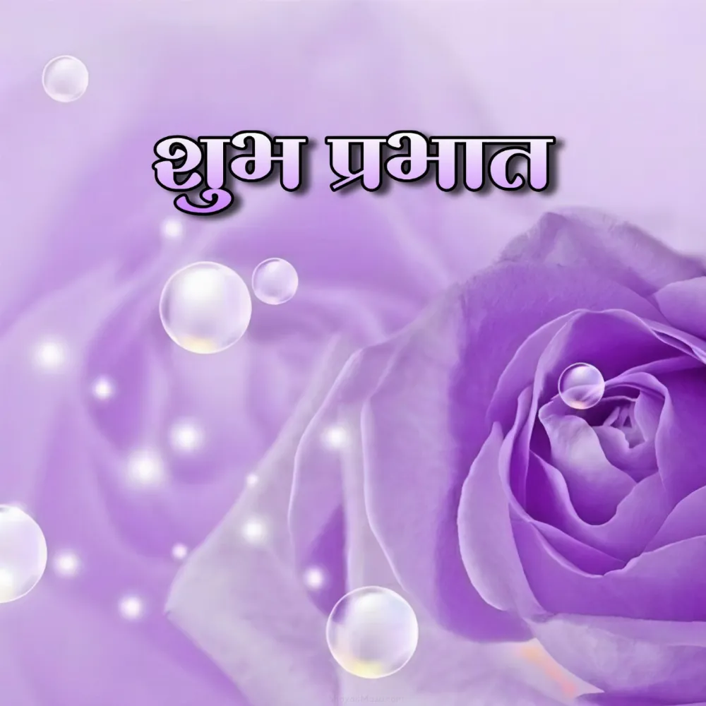 Shubh Prabhat Images With Purple Flowers