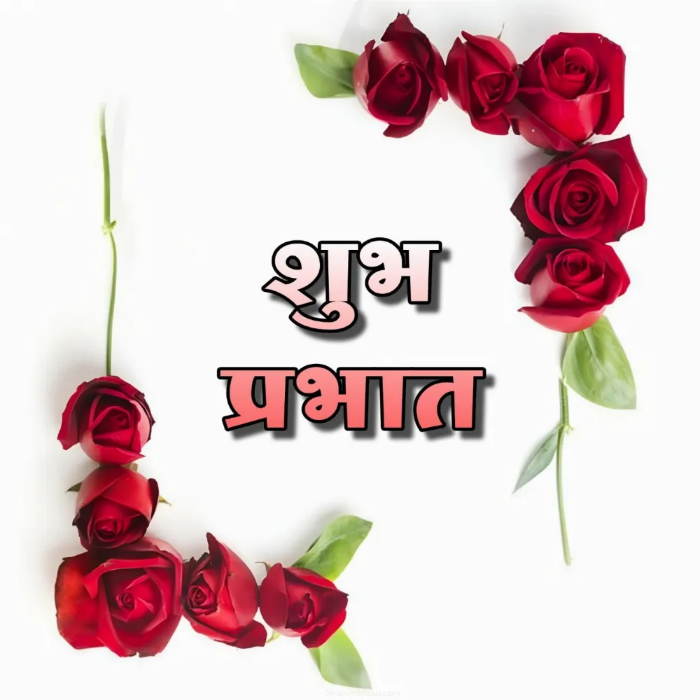 Shubh Prabhat Images With Red Rose Flowers