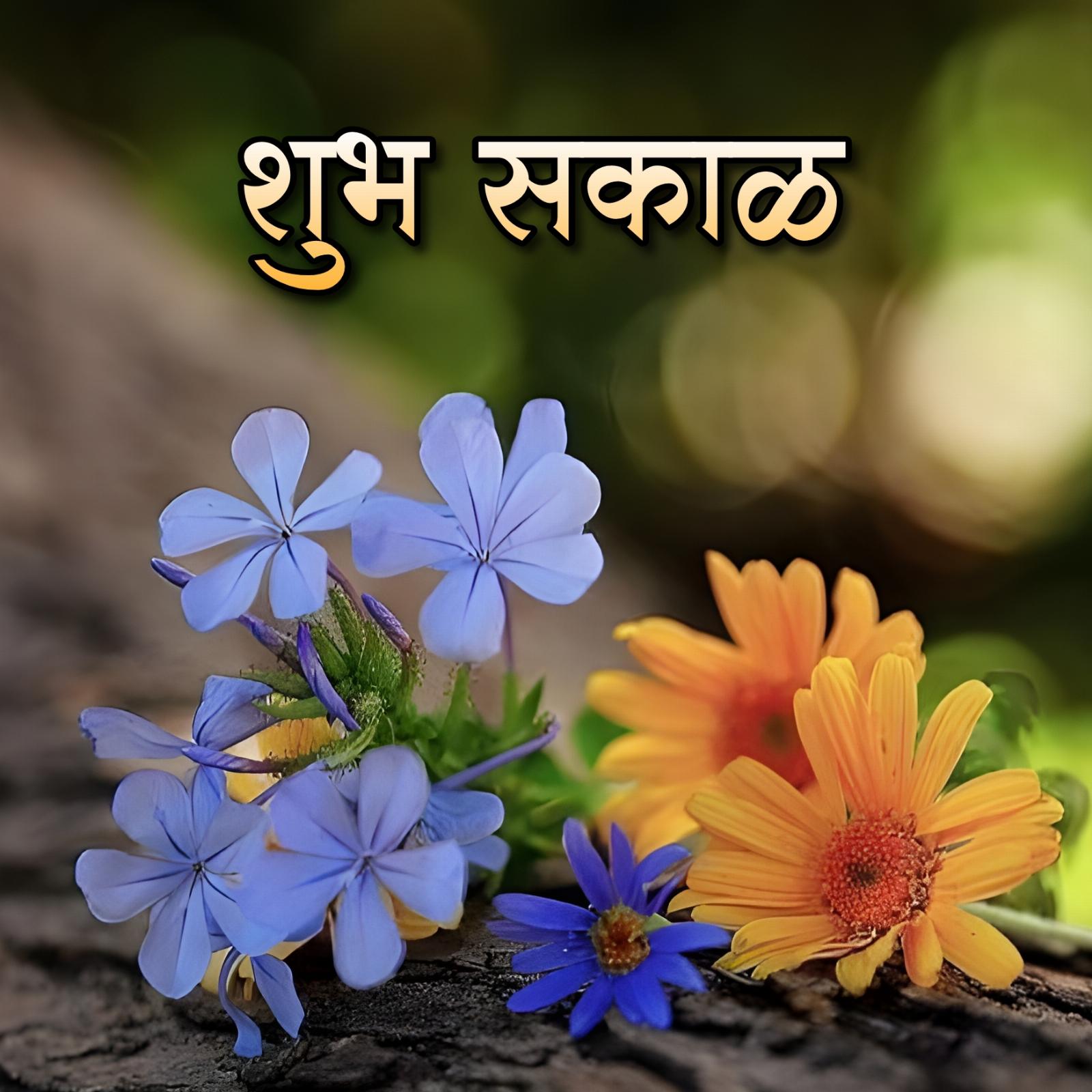 Beautiful Shubh Sakal Flower Images
