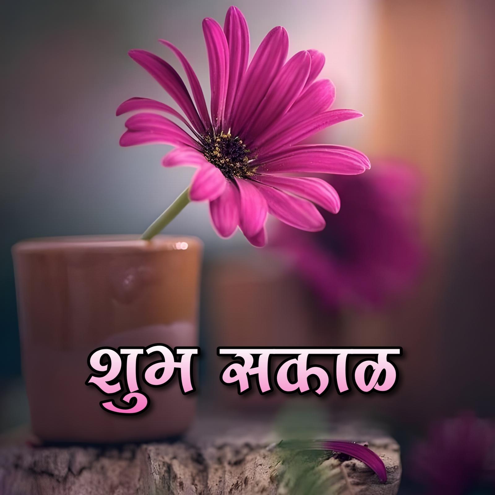 Flower Shubh Sakal Photo Full Hd