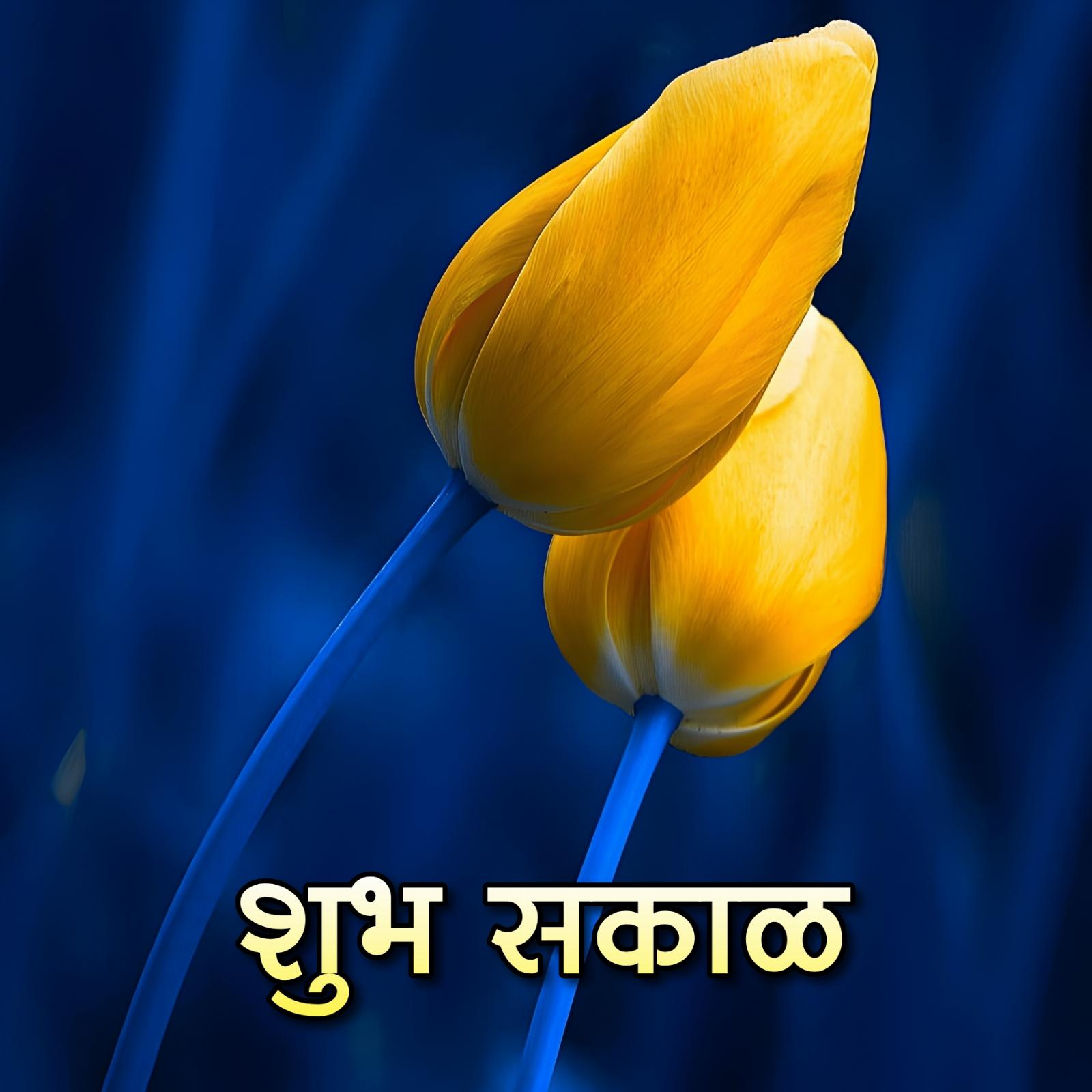 Full Hd Flower Shubh Sakal Images