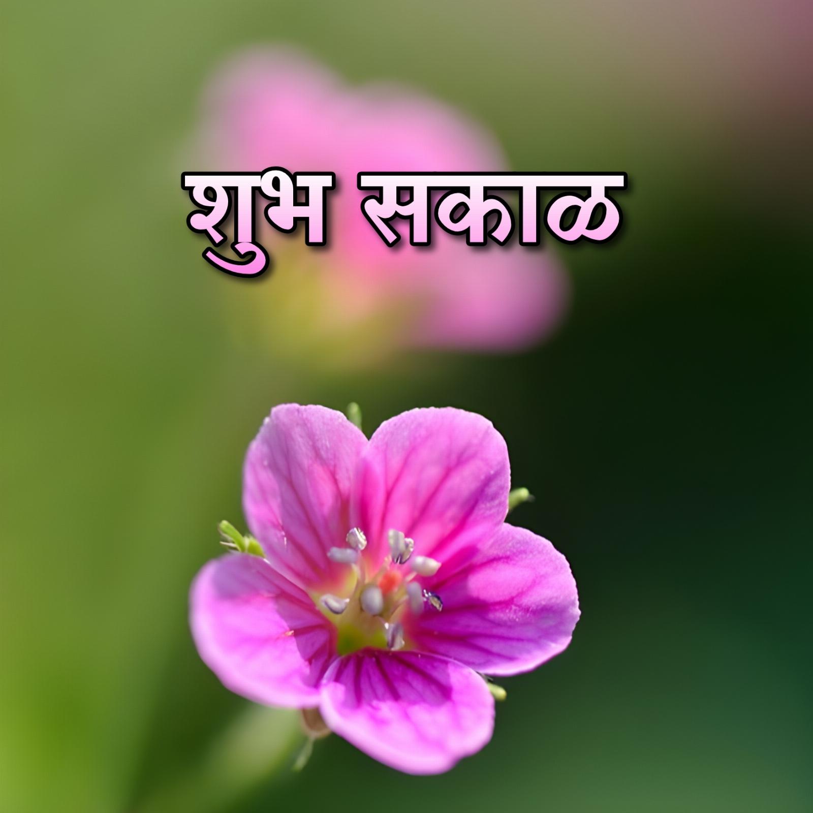 New Shubh Sakal Flower Images 2023