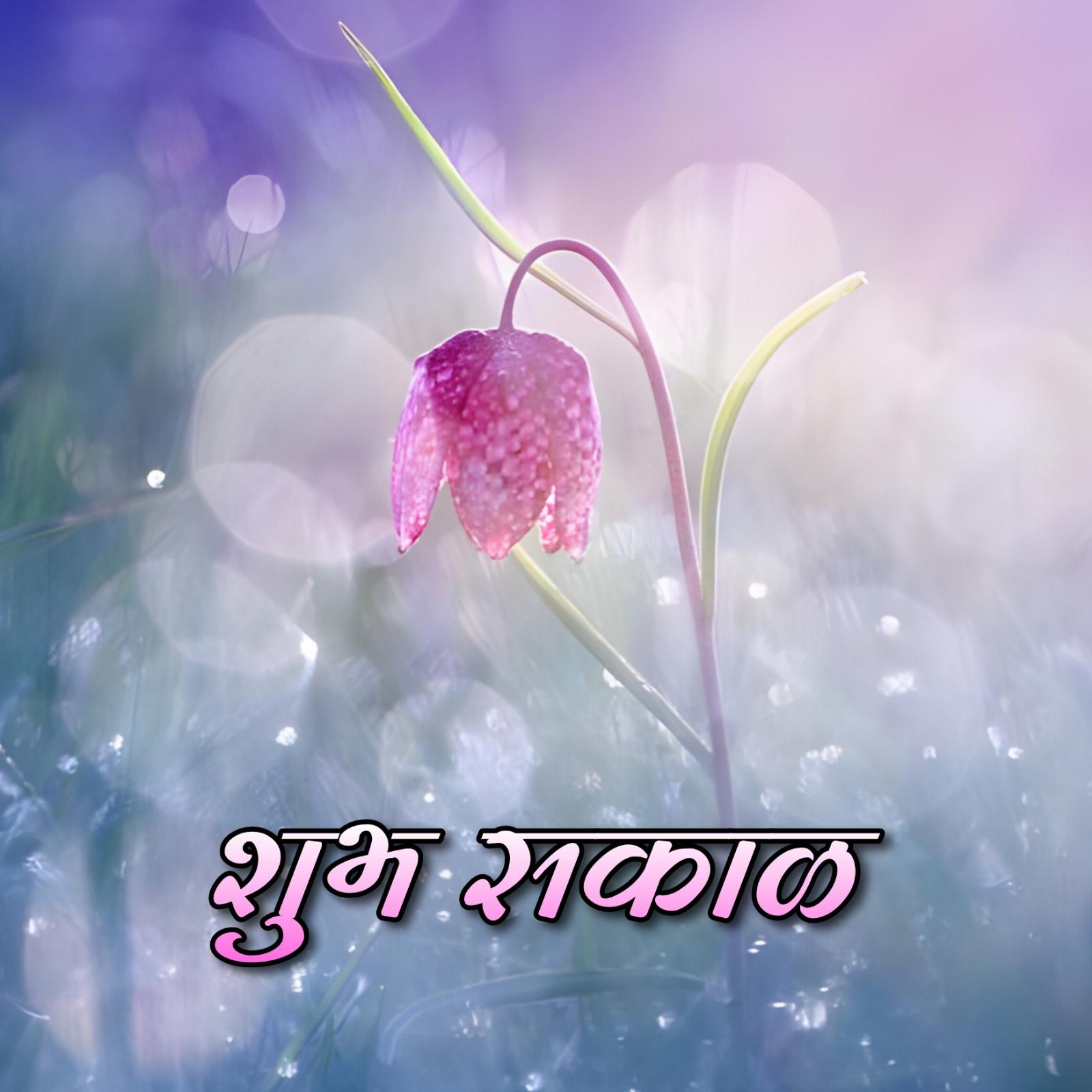 Shubh Sakal Flower Beautiful