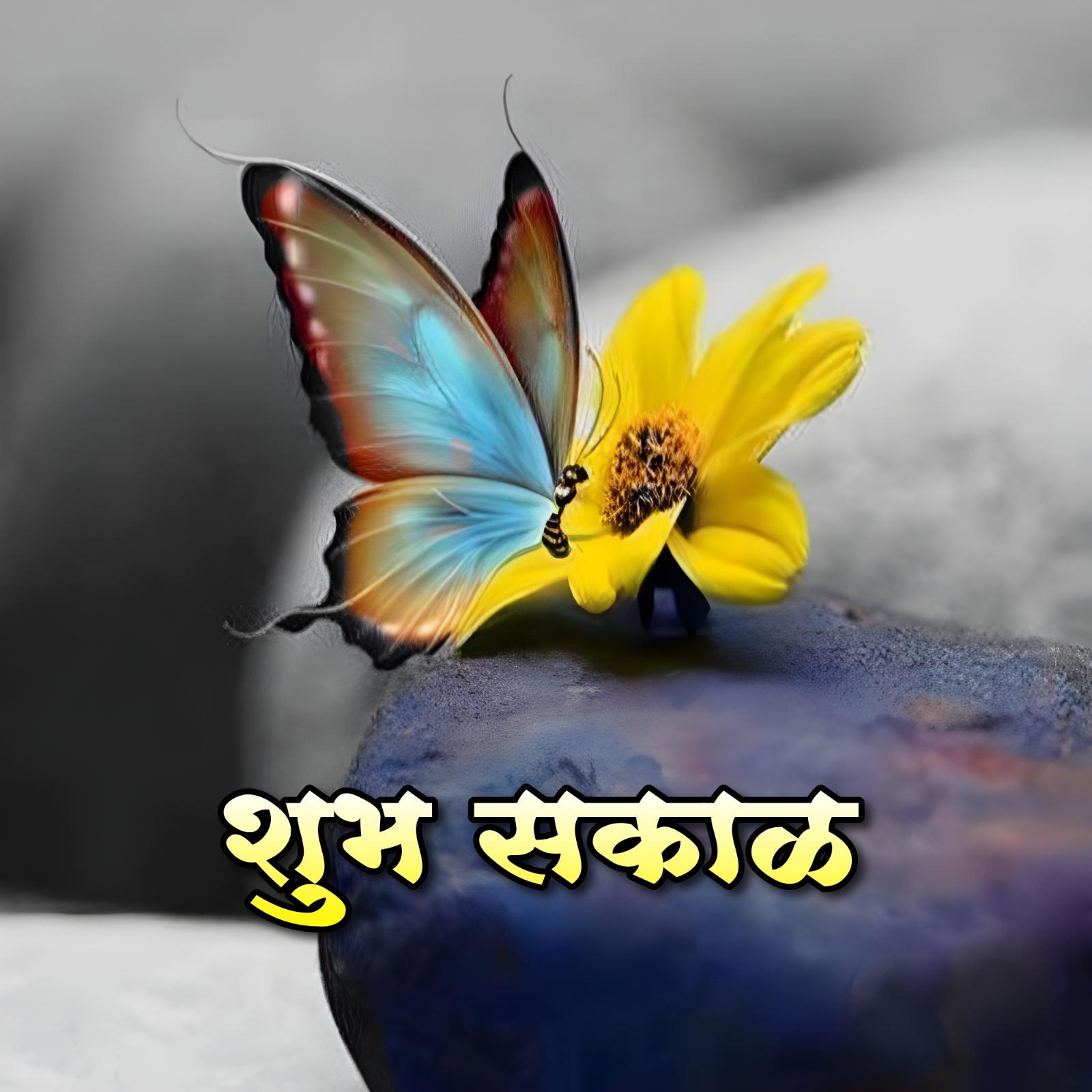 Shubh Sakal Flower Card