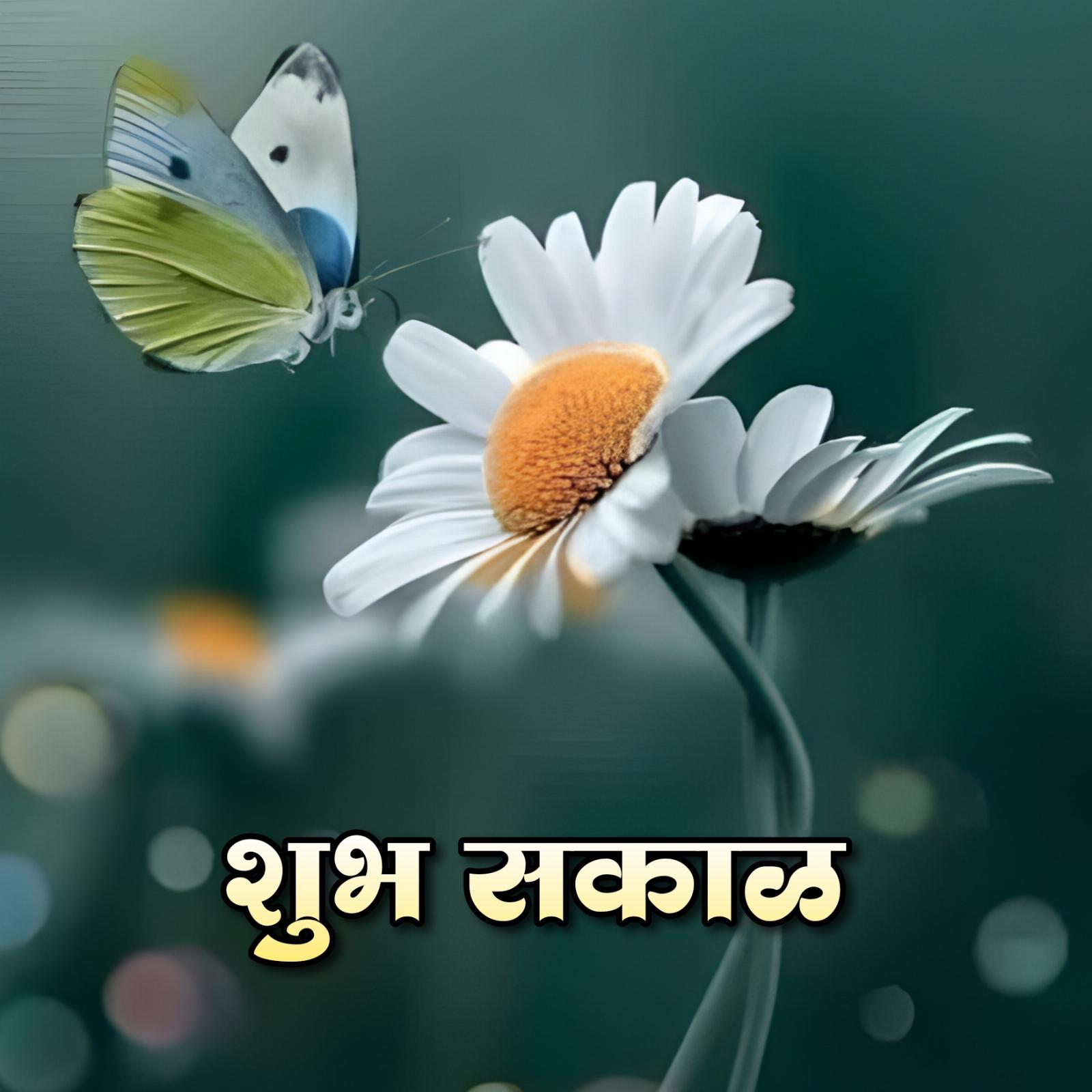 Shubh Sakal Flower Chitra