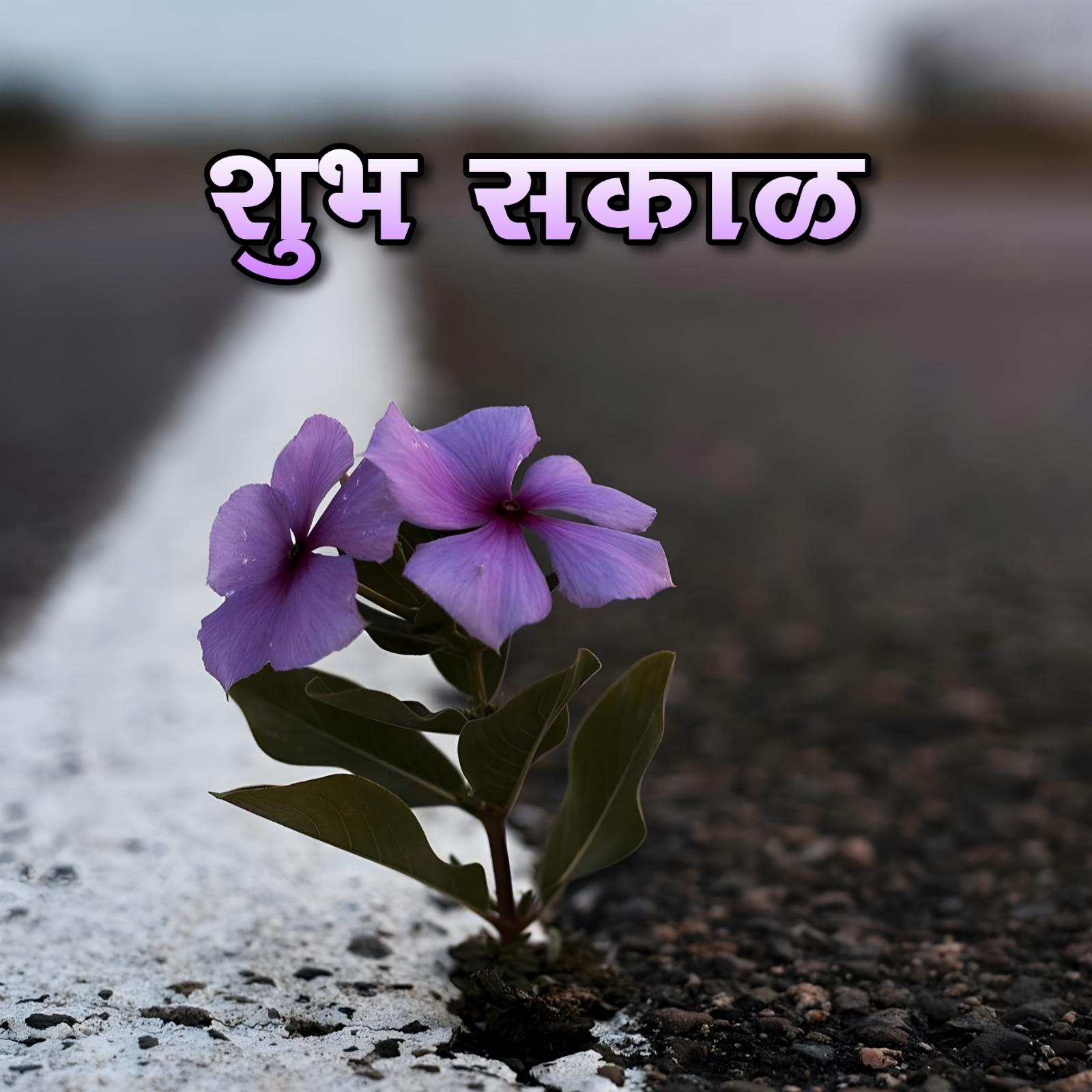 Shubh Sakal Flower Dakhwa