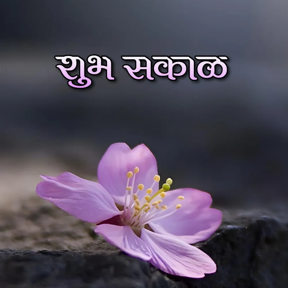 Shubh Sakal Flower Download Image