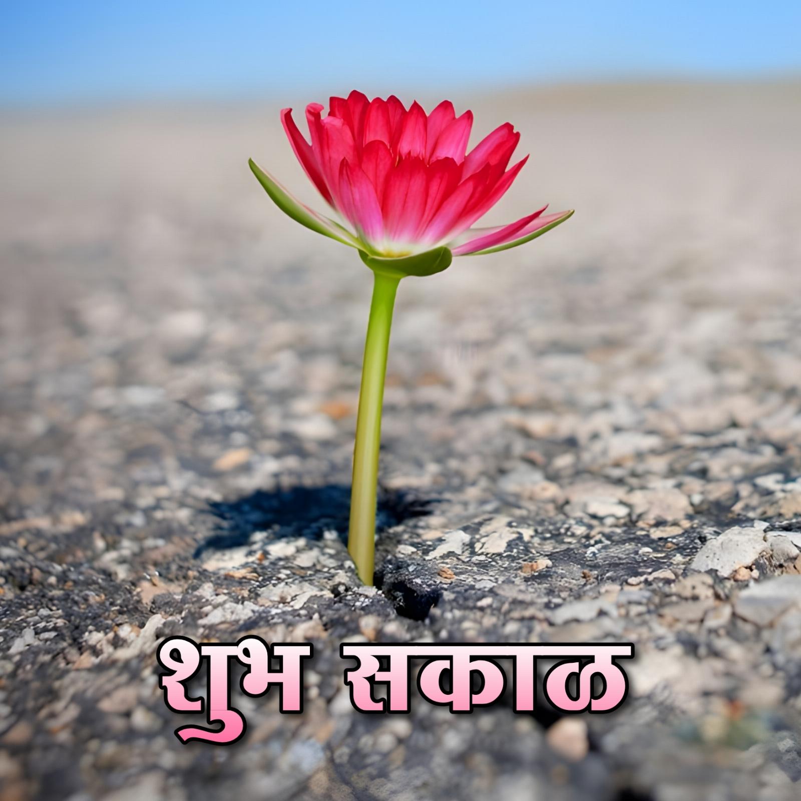 Shubh Sakal Flower Good Morning Images in Marathi