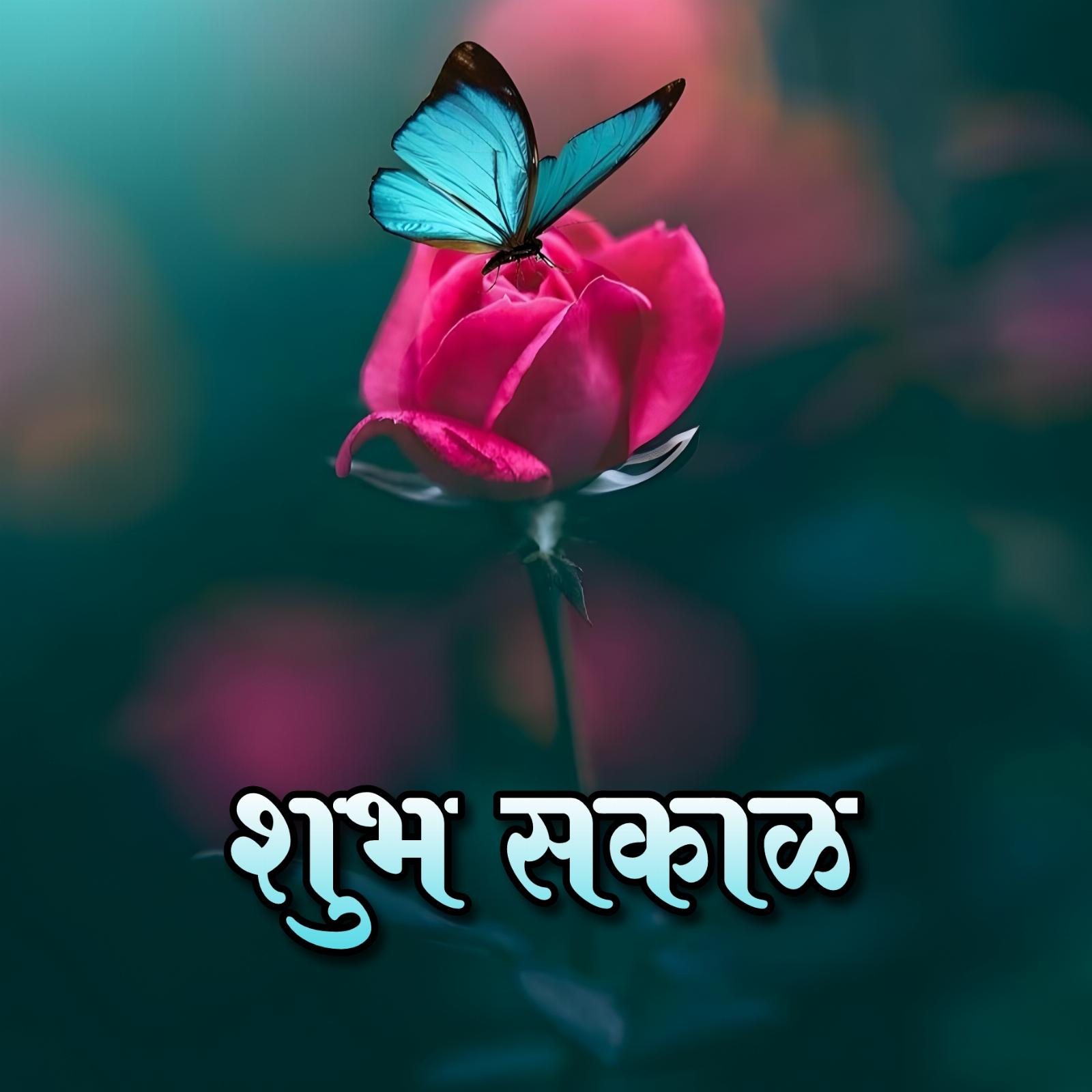 Shubh Sakal Flower Hd Photos