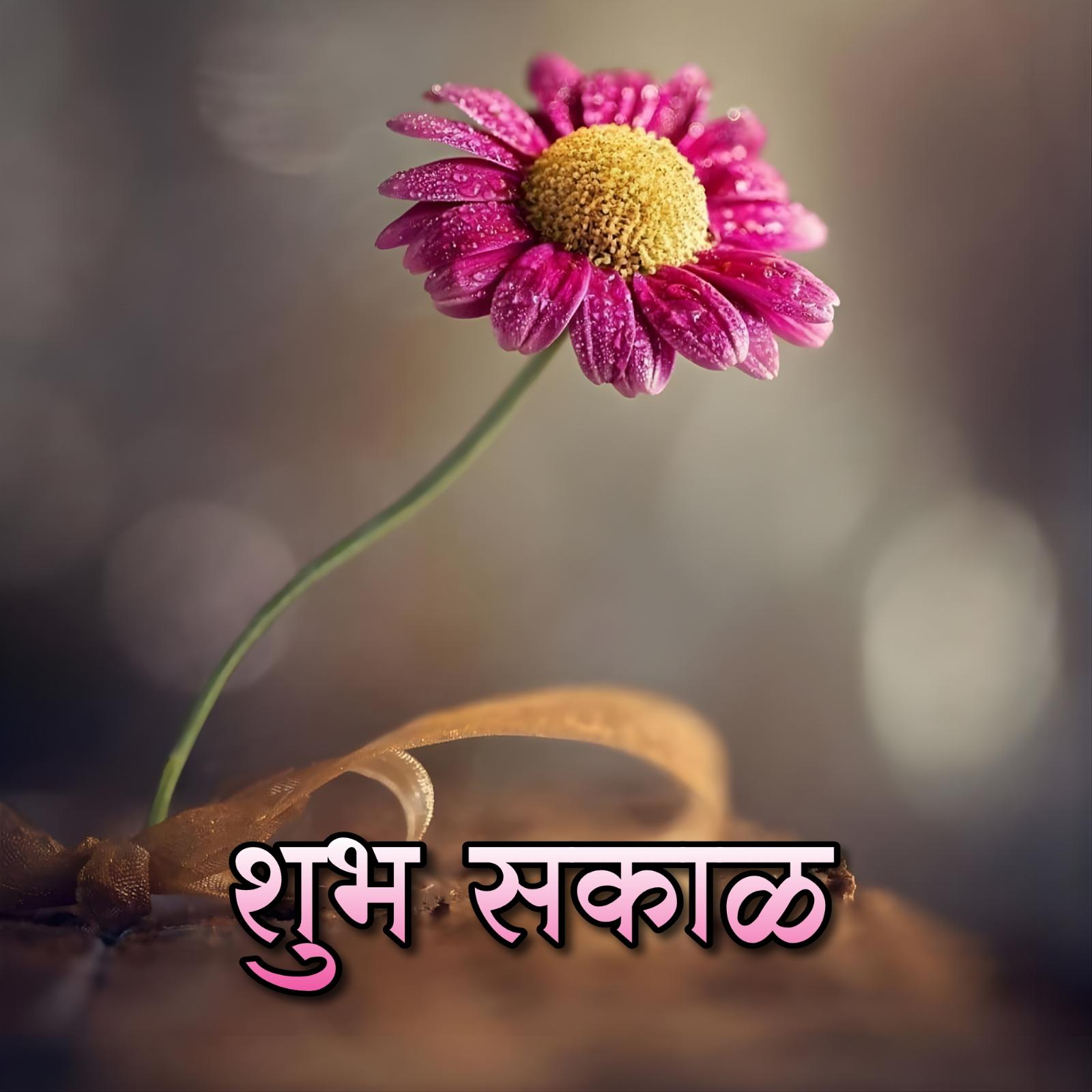 Shubh Sakal Flower Images 2023 HD Download