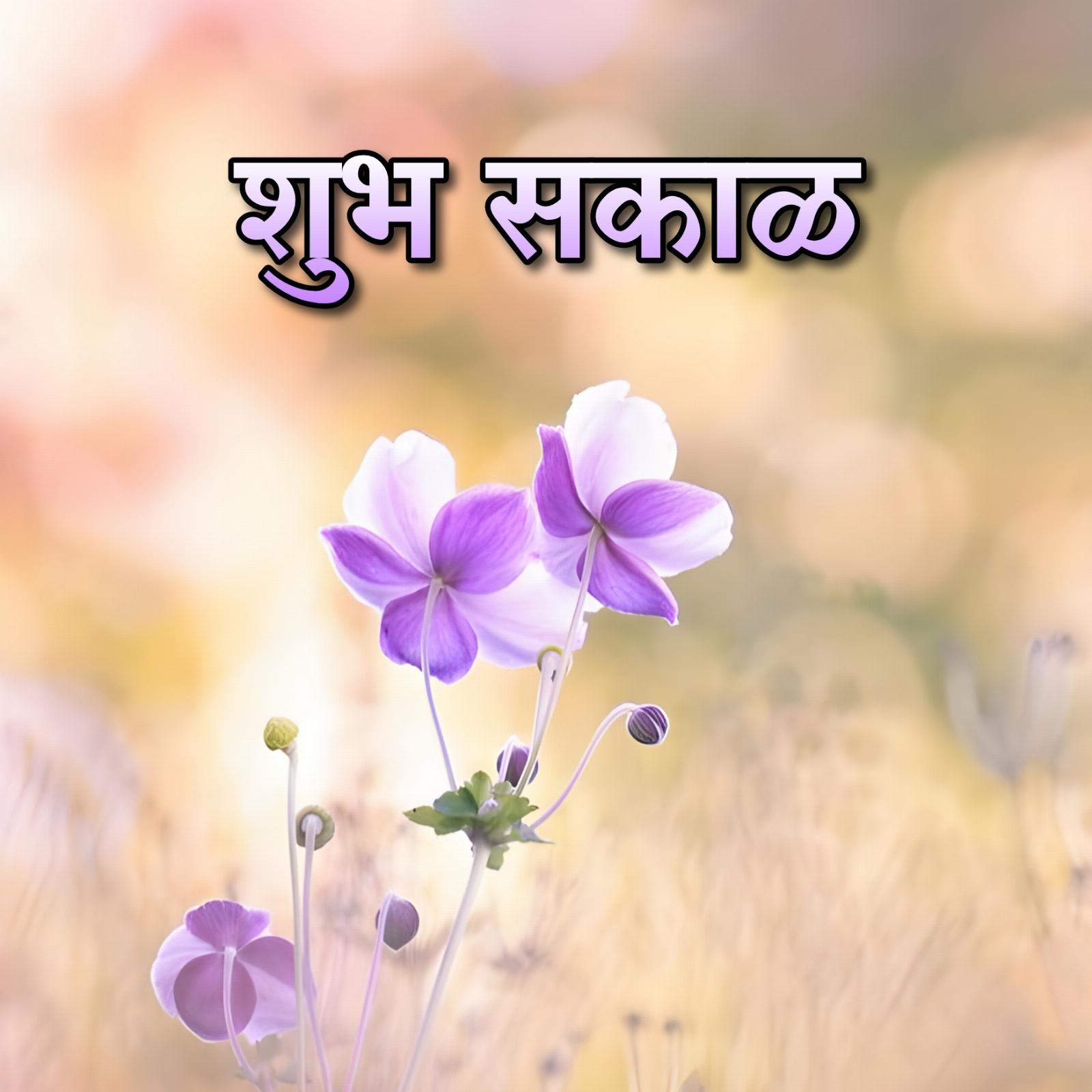 Shubh Sakal Flower Images 2023