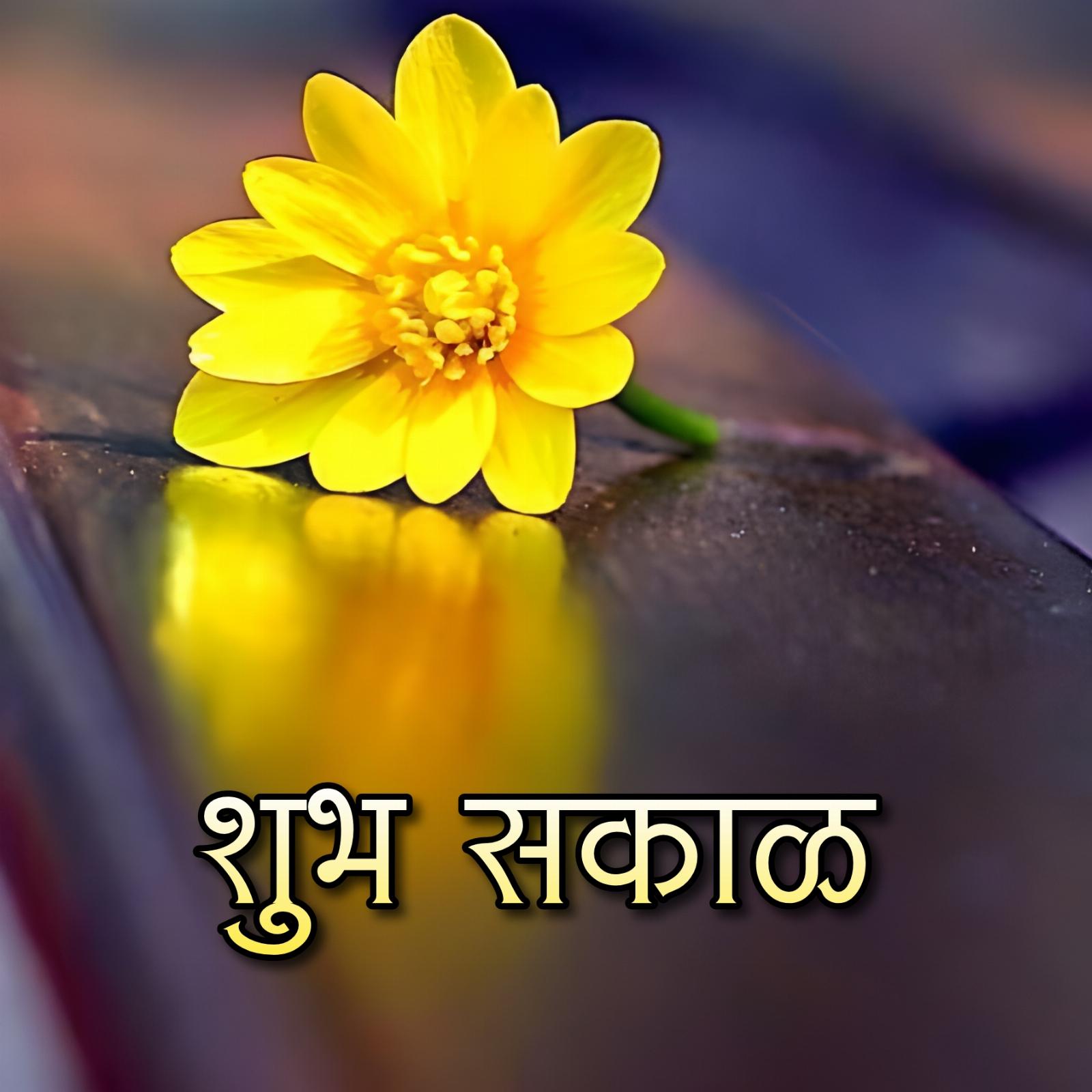 Shubh Sakal Flower Images Free Download