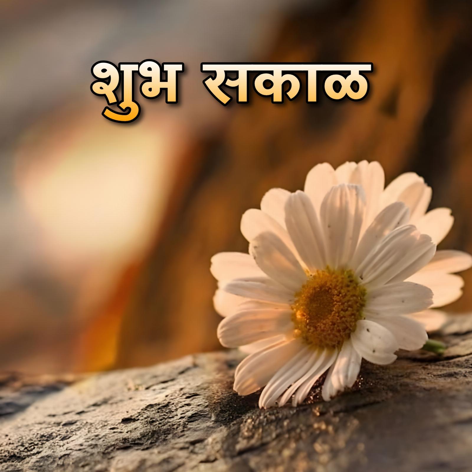 Shubh Sakal Flower Images Hd Download
