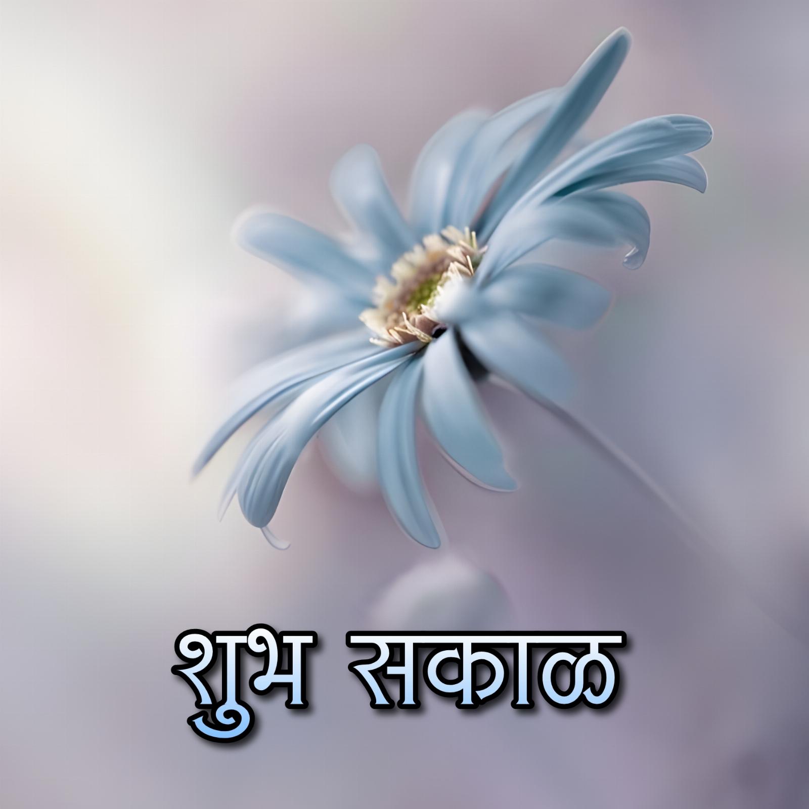 Shubh Sakal Flower Photo