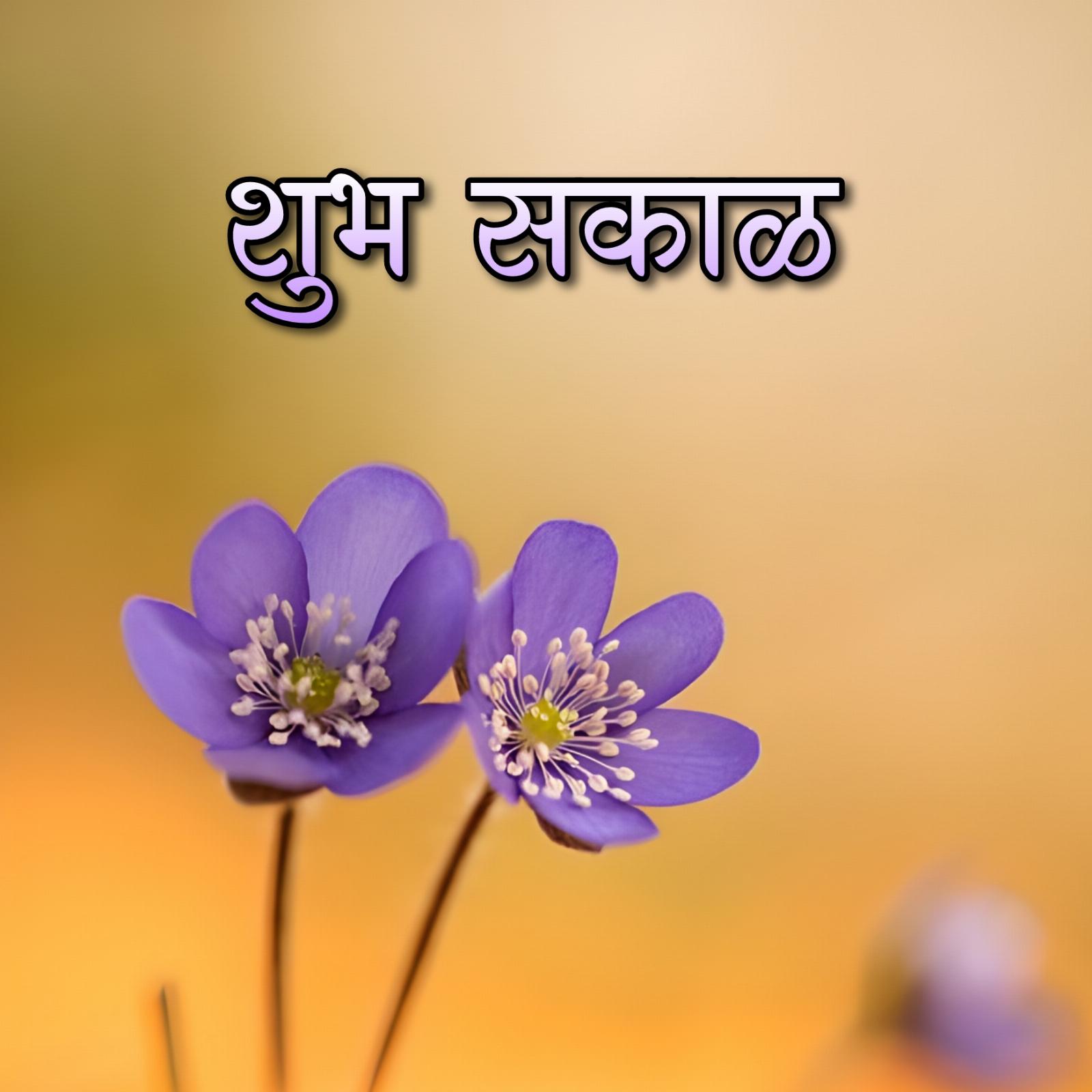 Shubh Sakal Flower Photos