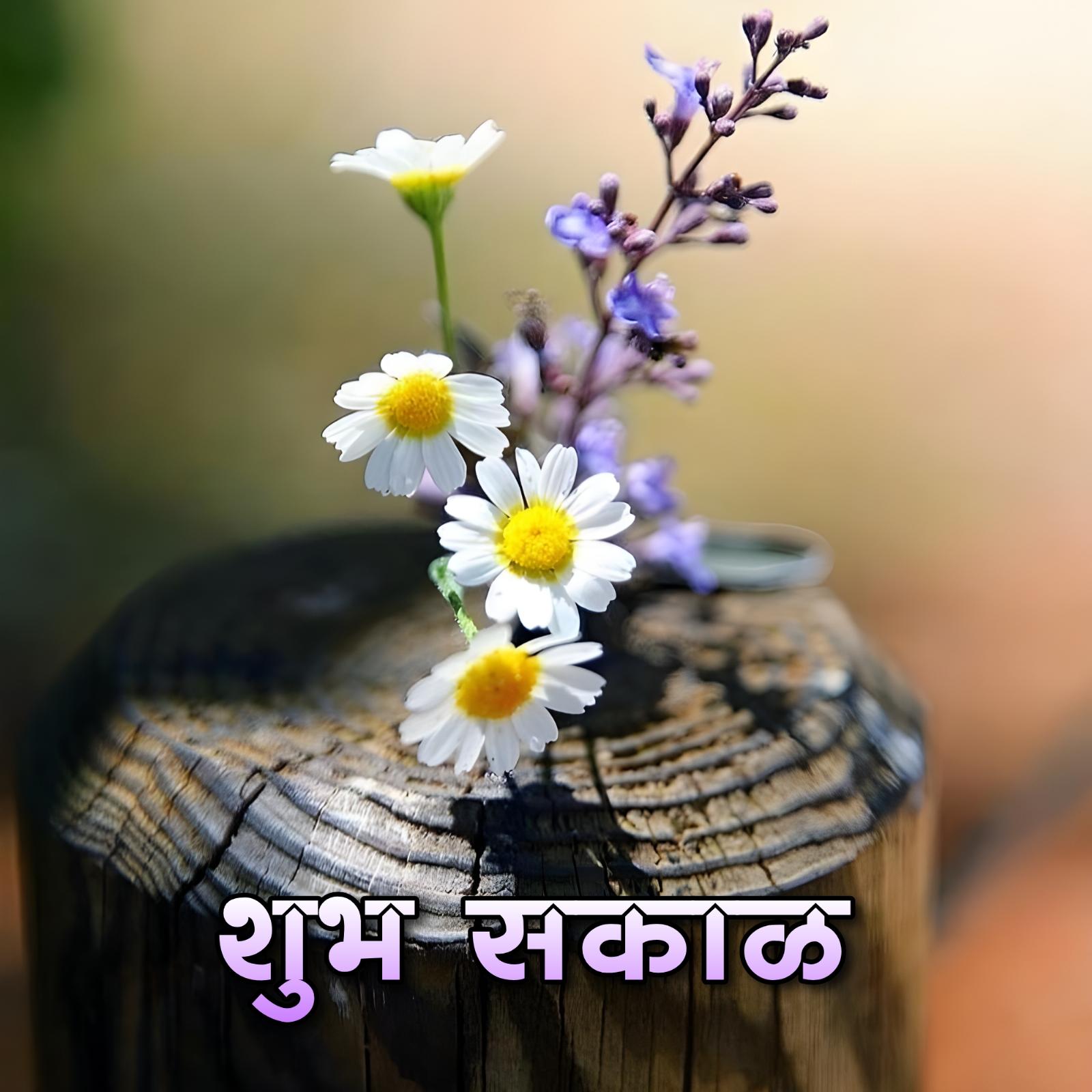 Shubh Sakal Flower Tree Images