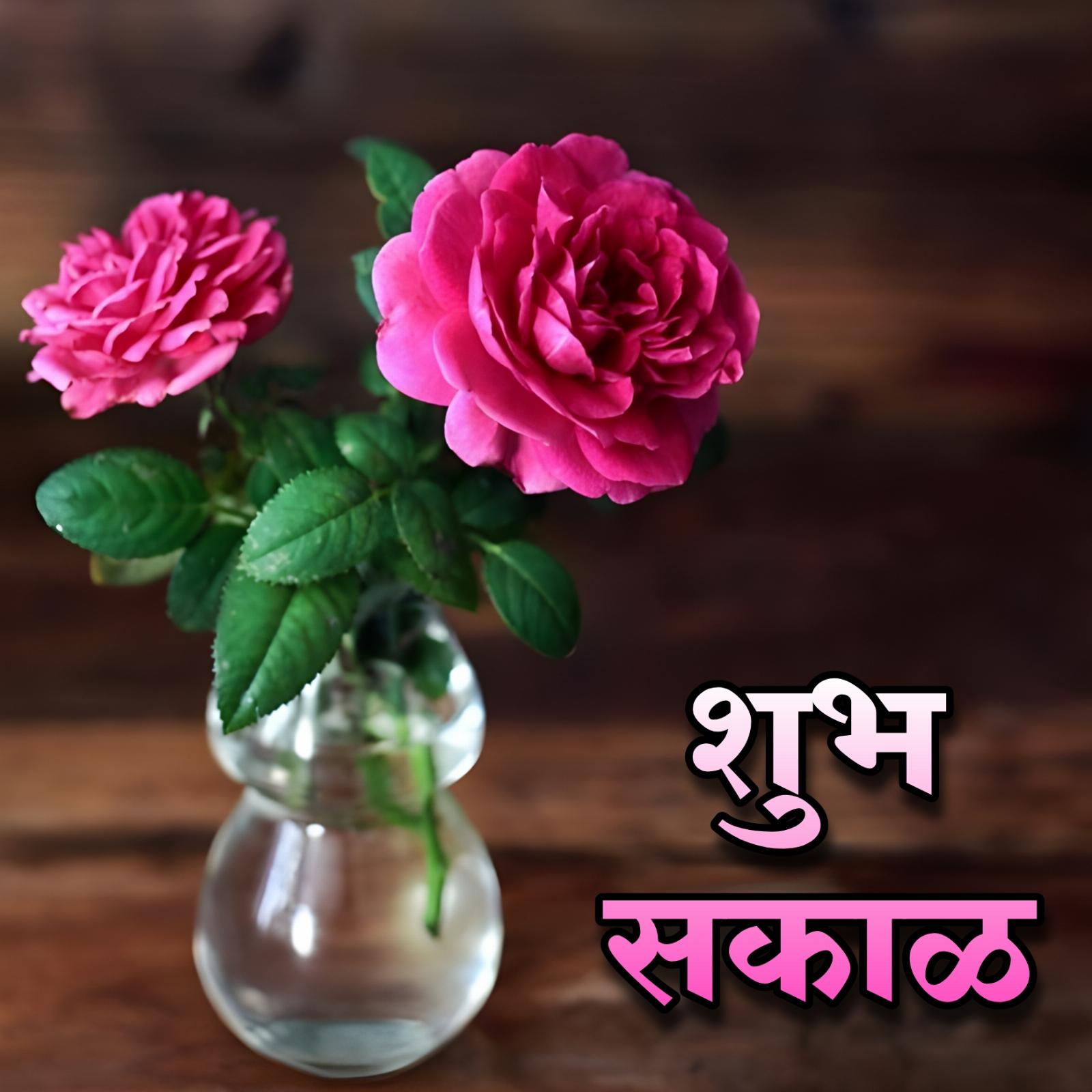 Shubh Sakal Flower Wallpaper Hd Download