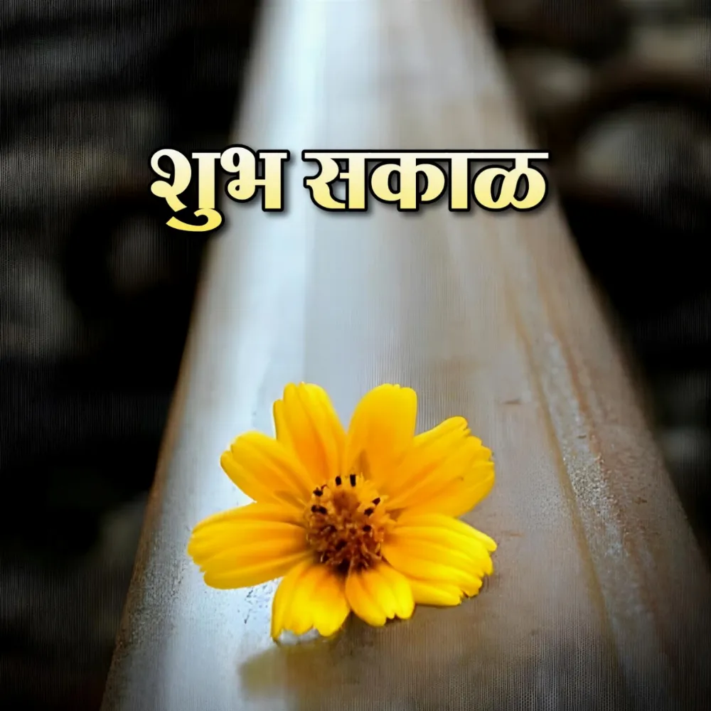 Shubh Sakal Images With Flower Nature
